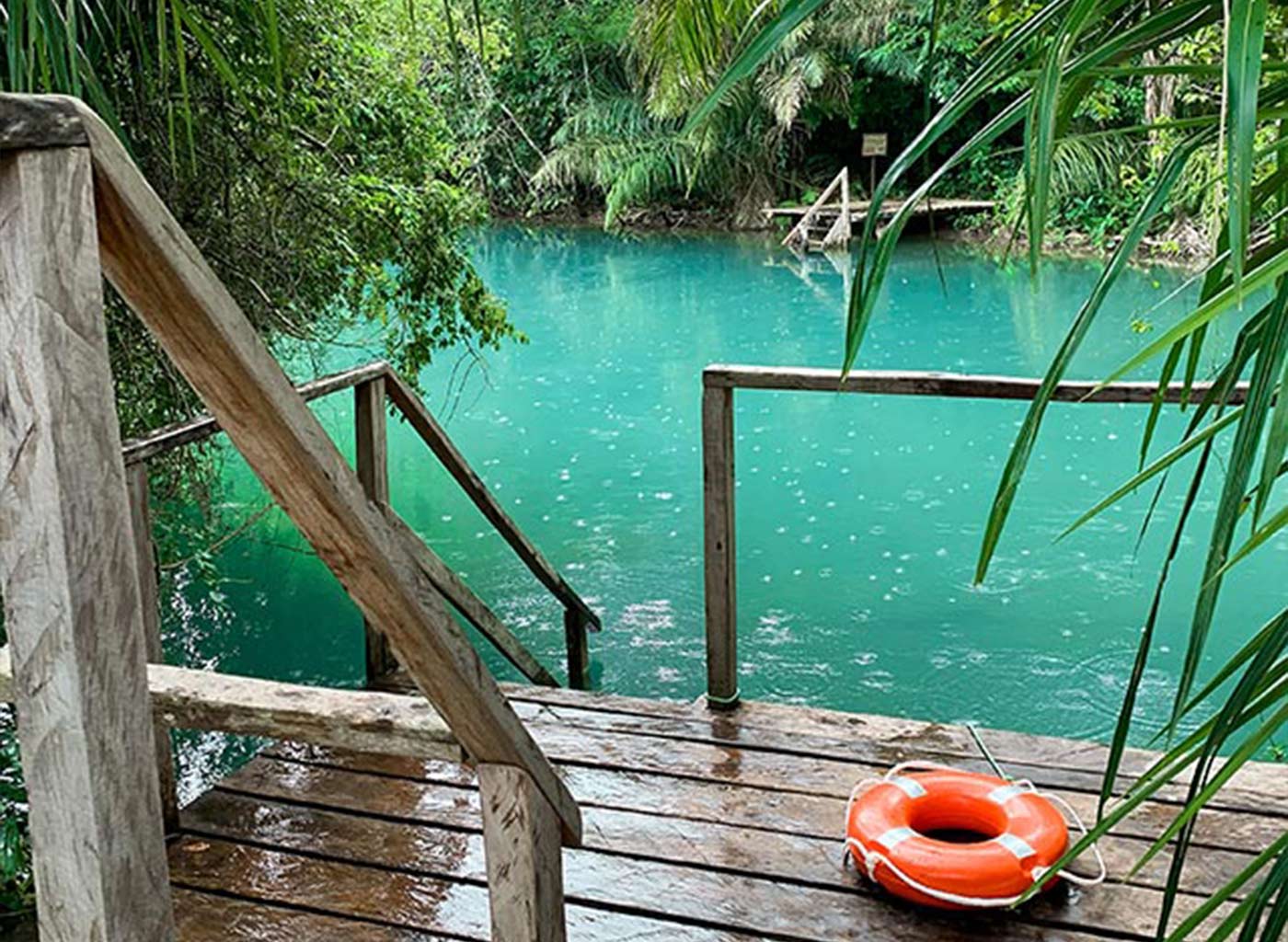 Vista de deck de madeira à margem de água cristalina em meio a natureza