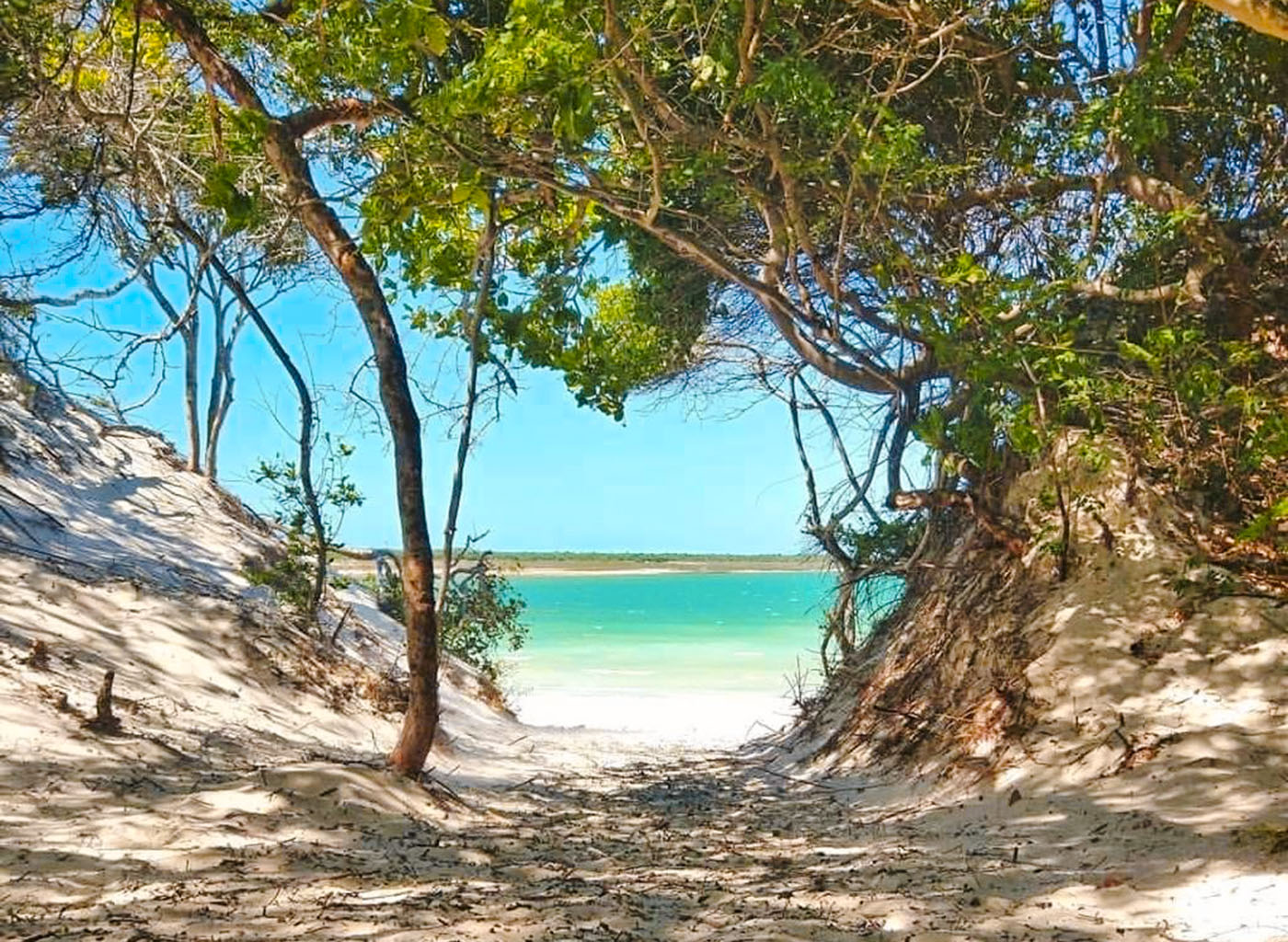 lagoa do paraíso jericoacoara litoral leste