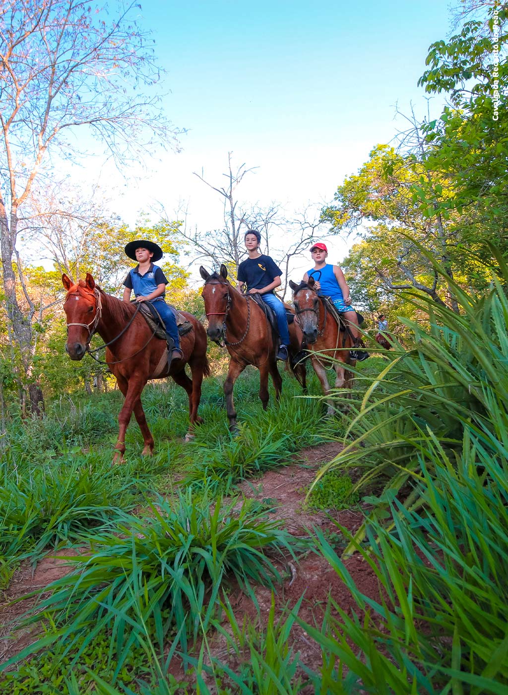 Pessoas cavalgando em meio a natureza de Bonito