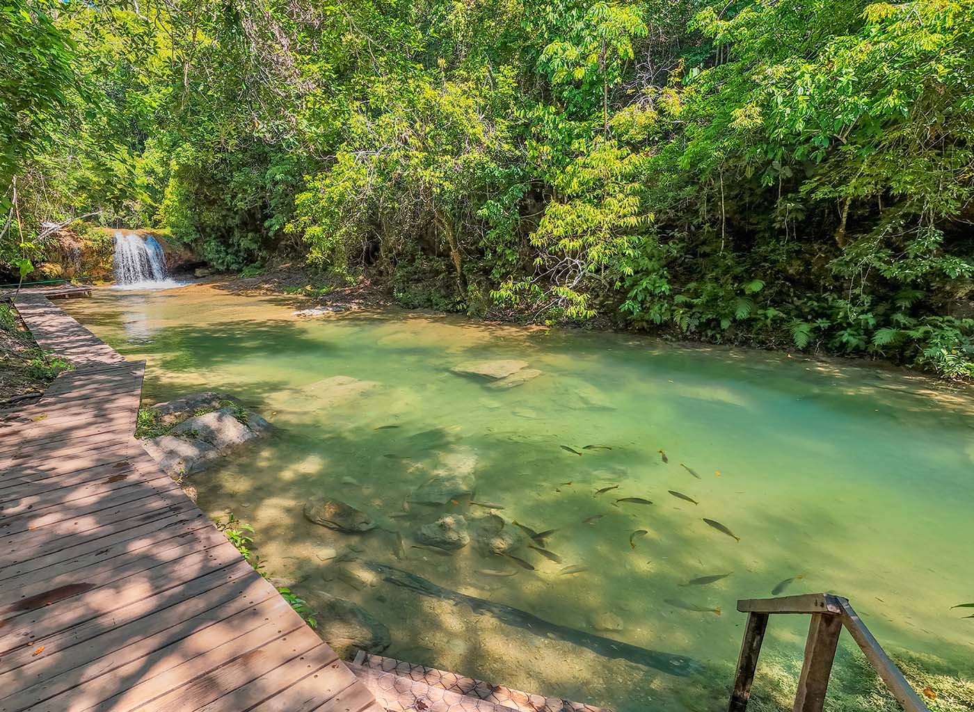 Parada para banho na Fazenda Ceita Corê