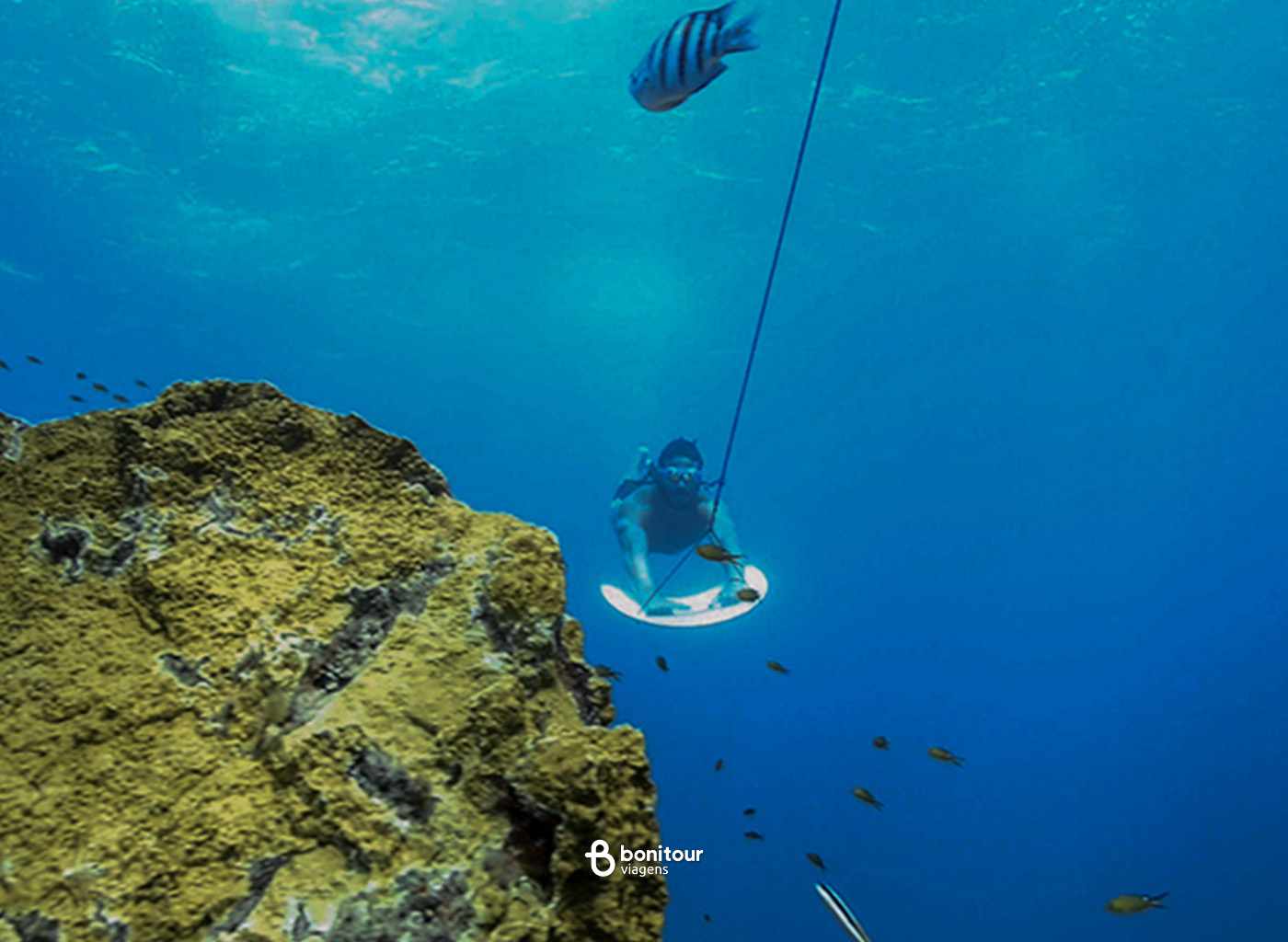 Pessoa realizando o mergulho aqua sub reboque em mar de Fernando de Noronha