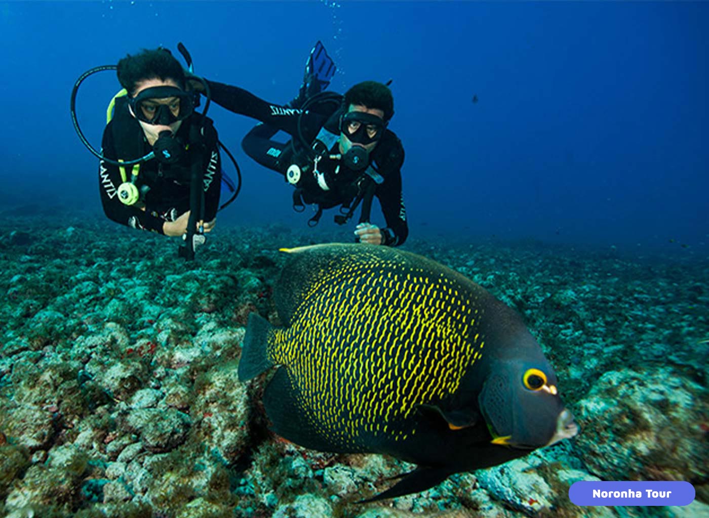 Duas pessoas com equipamento de mergulho com cilindro observando peixe em baixo da água