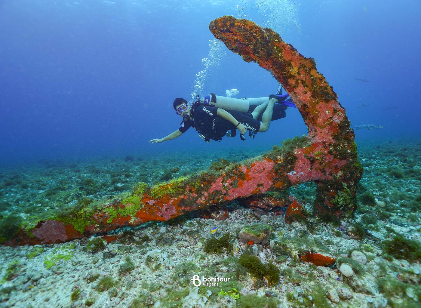 Pessoa aproveitando mergulho com cilindro, em frente a enorme âncora naufragada