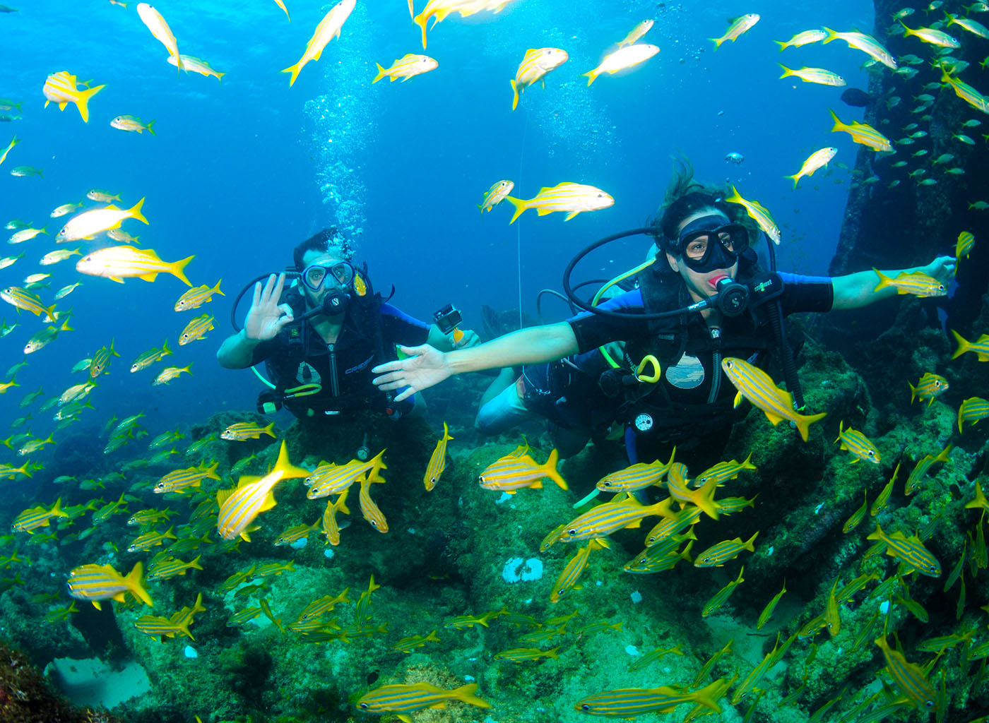 Mergulho com Cilindro no Naufrágio do Porto em Fernando de Noronha