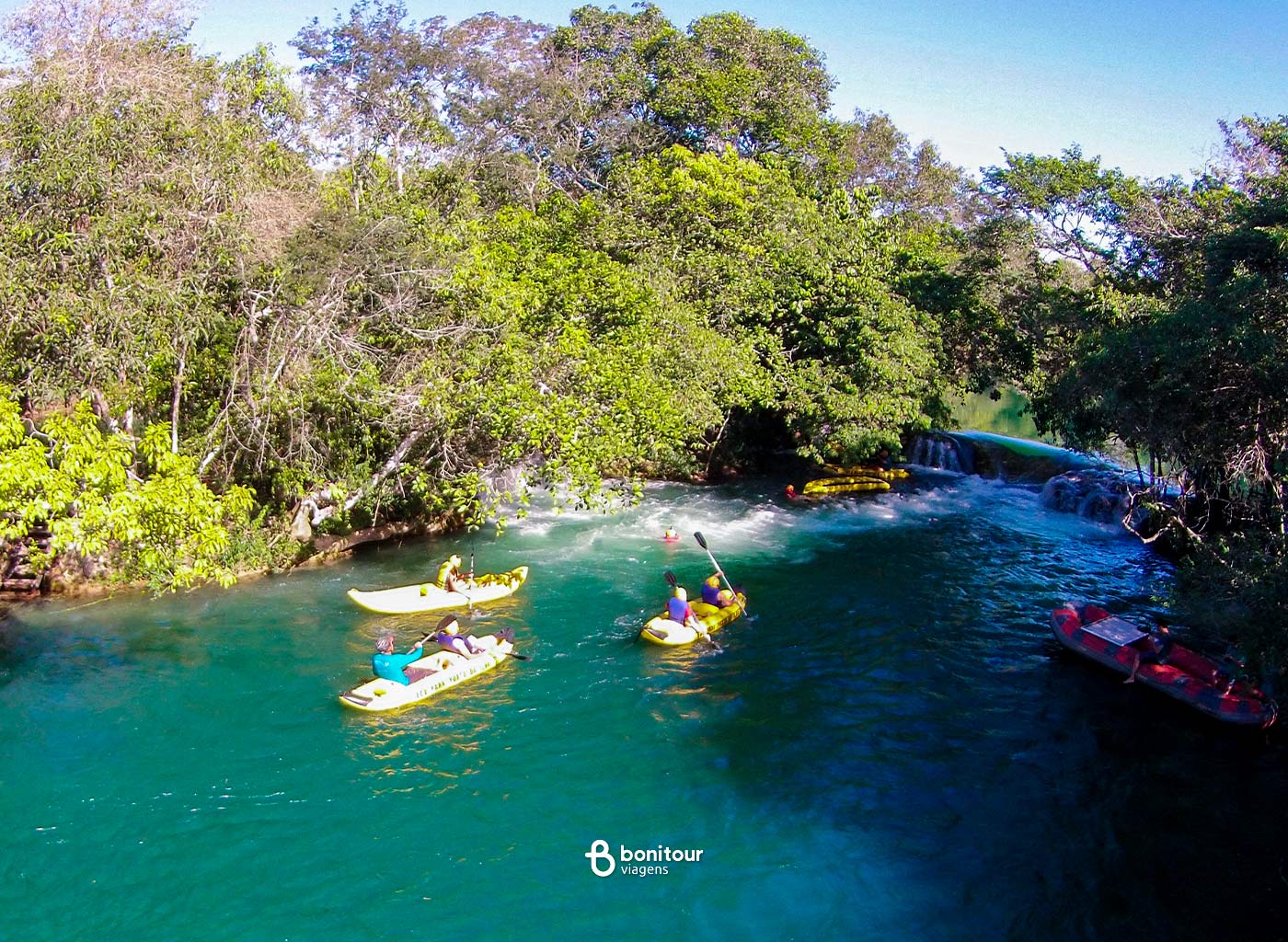Pessoas em botes a remo em meio a vegetação
