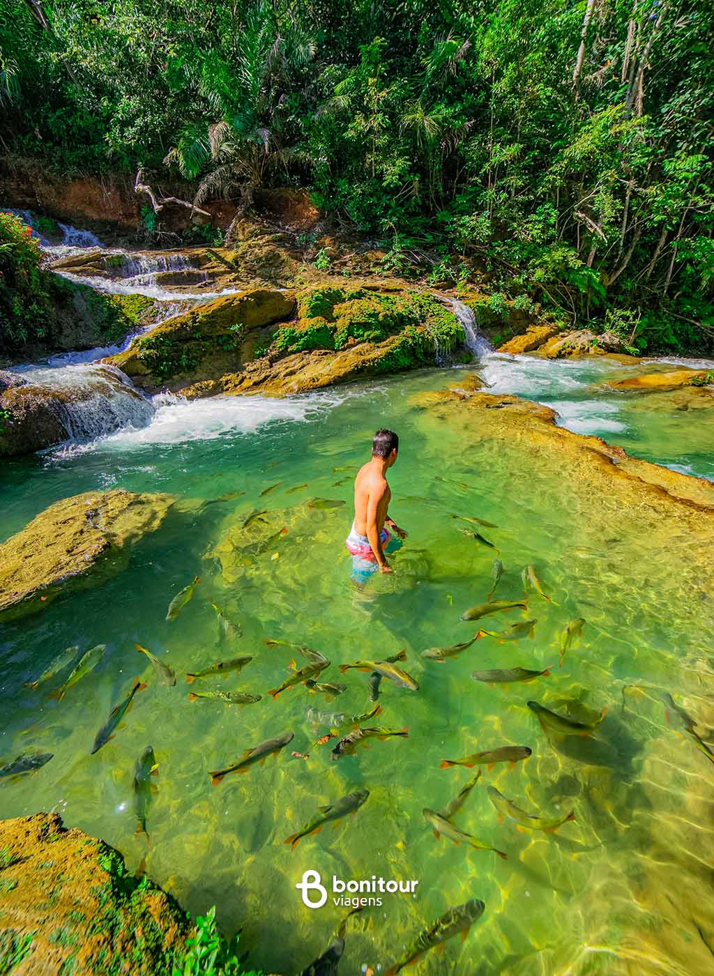 Pessoa nada entre peixes na Cachoeira do Rio do Peixe