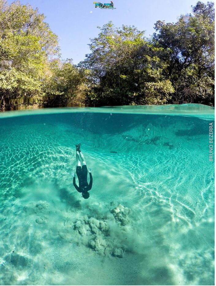 Flutuação pelas águas cristalinas do Rio da Prata, Bonito MS