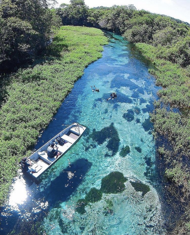 Flutuação Rio Sucuri Bonito MS