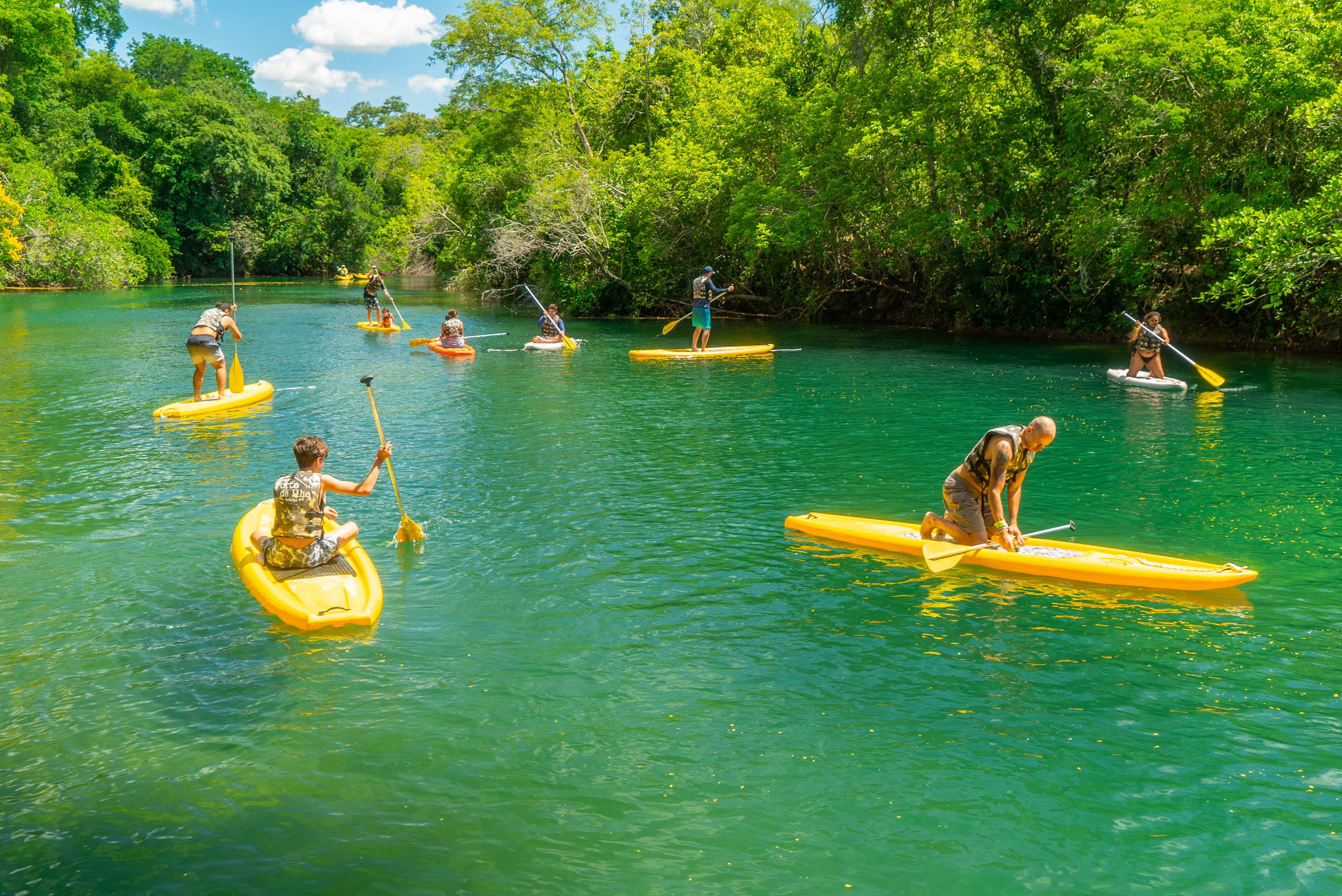 Pessoas se divertindo com bote à remo em rio em meio a natureza