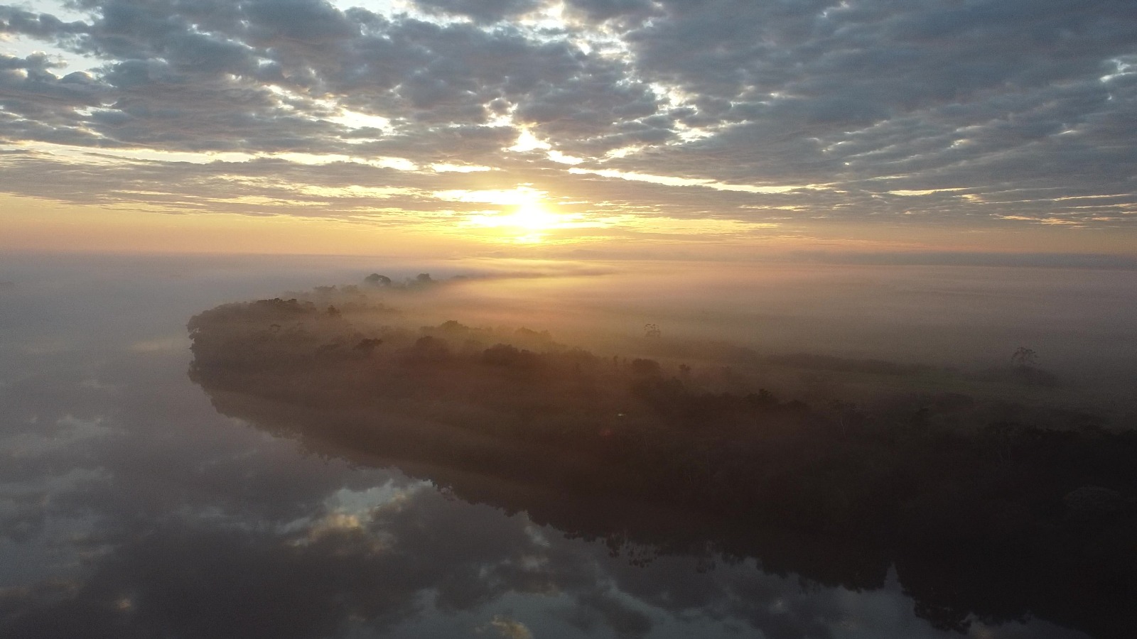 rota de aviturismo na mata atlantica do mato grosso do sul
