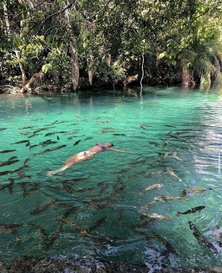 Flutuação Praia da Figueira Bonito MS