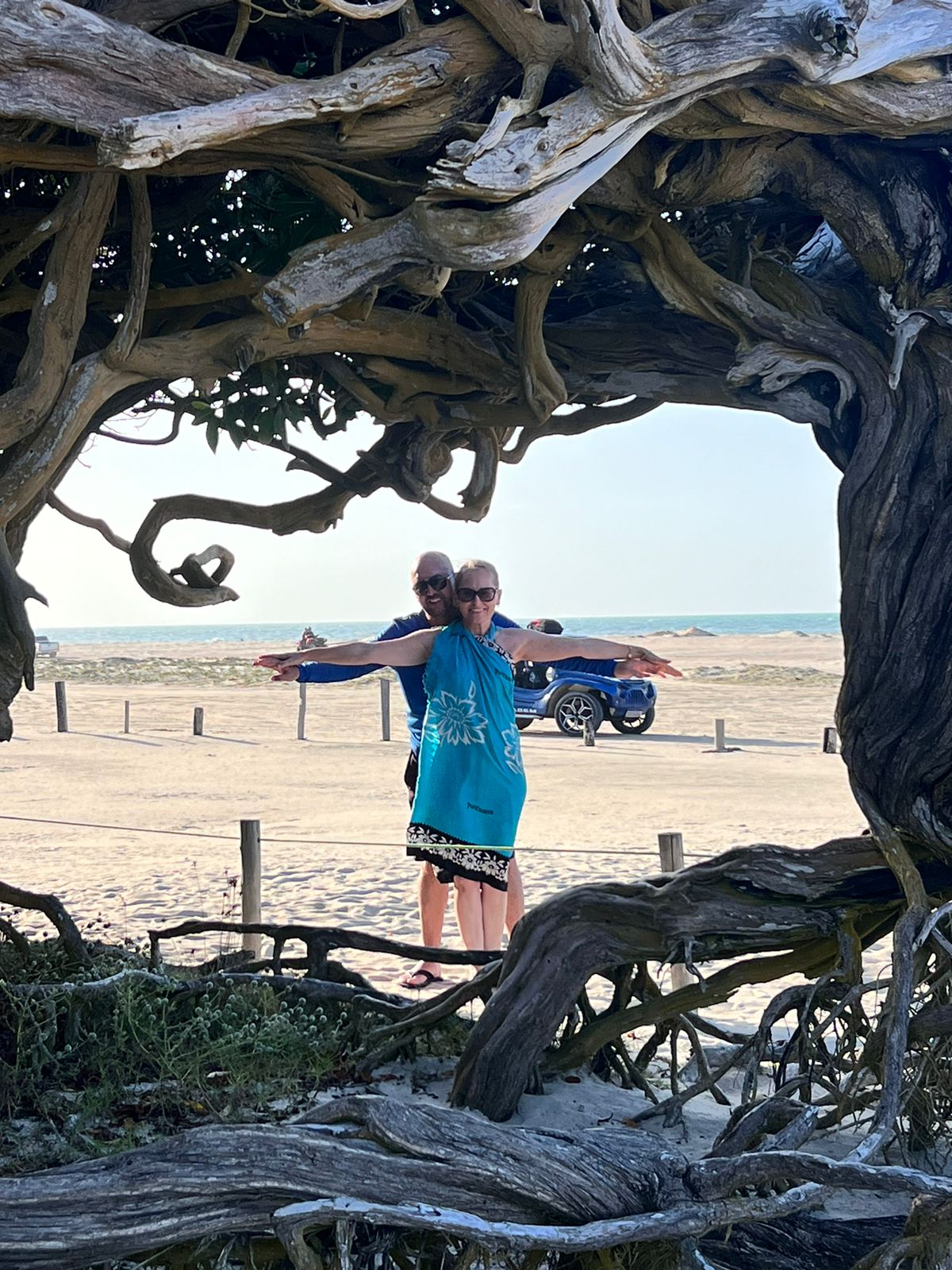 Árvore da Preguiça em Jericoacoara com buggy ao fundo