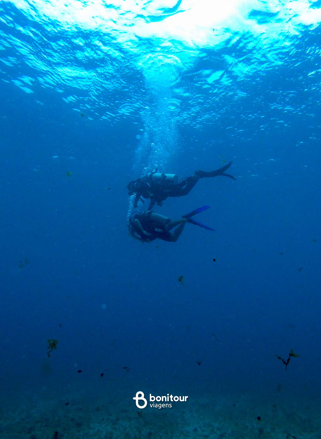 Pessoas curtindo mergulho com cilindro em Fernando de Noronha