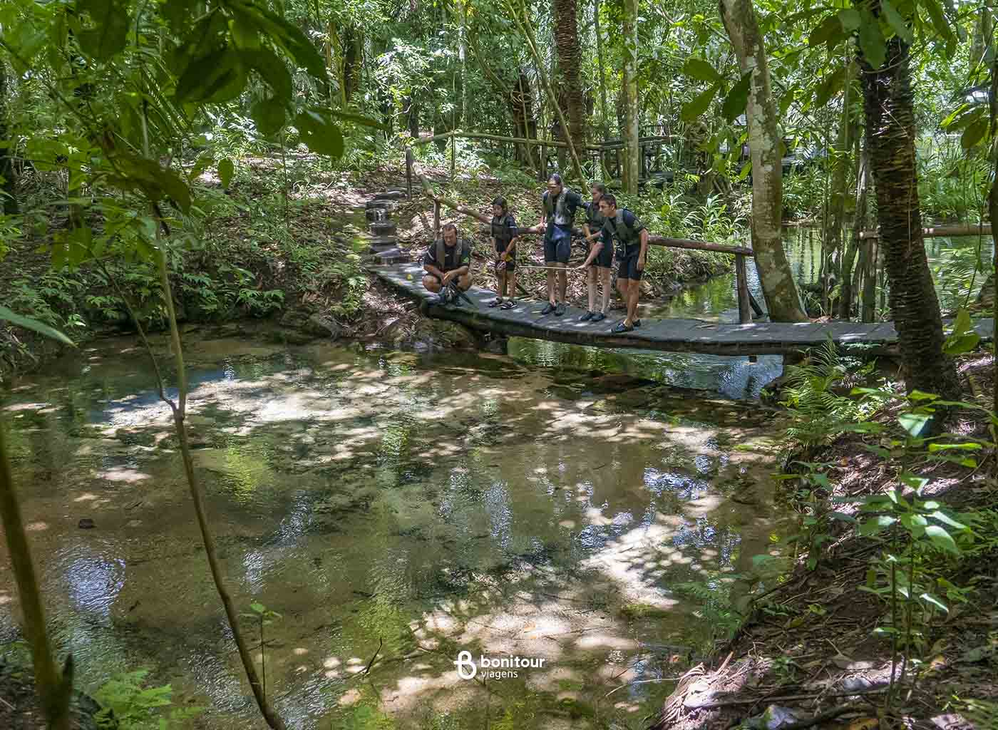Pessoas em cima de ponte, observando as águas do Aquário Natural de Bonito dentro de densa vegetação.