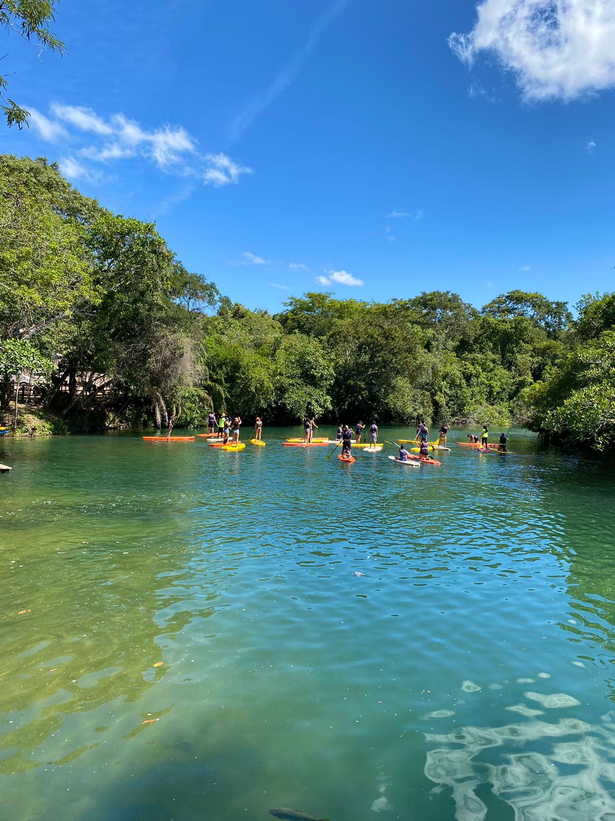 Stand Up – Paddle Porto da Ilha