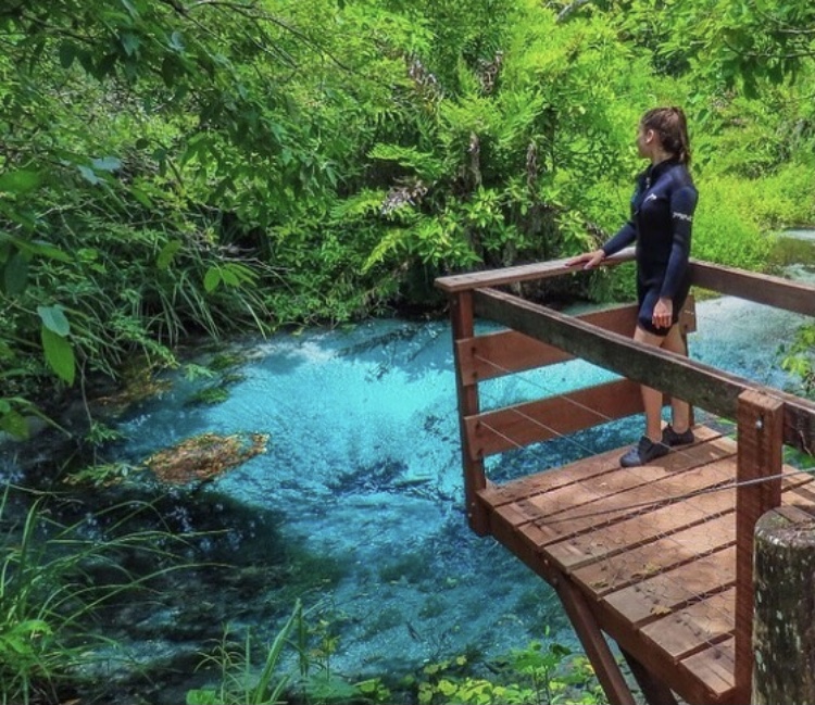 Flutuação Rio Sucuri Bonito MS