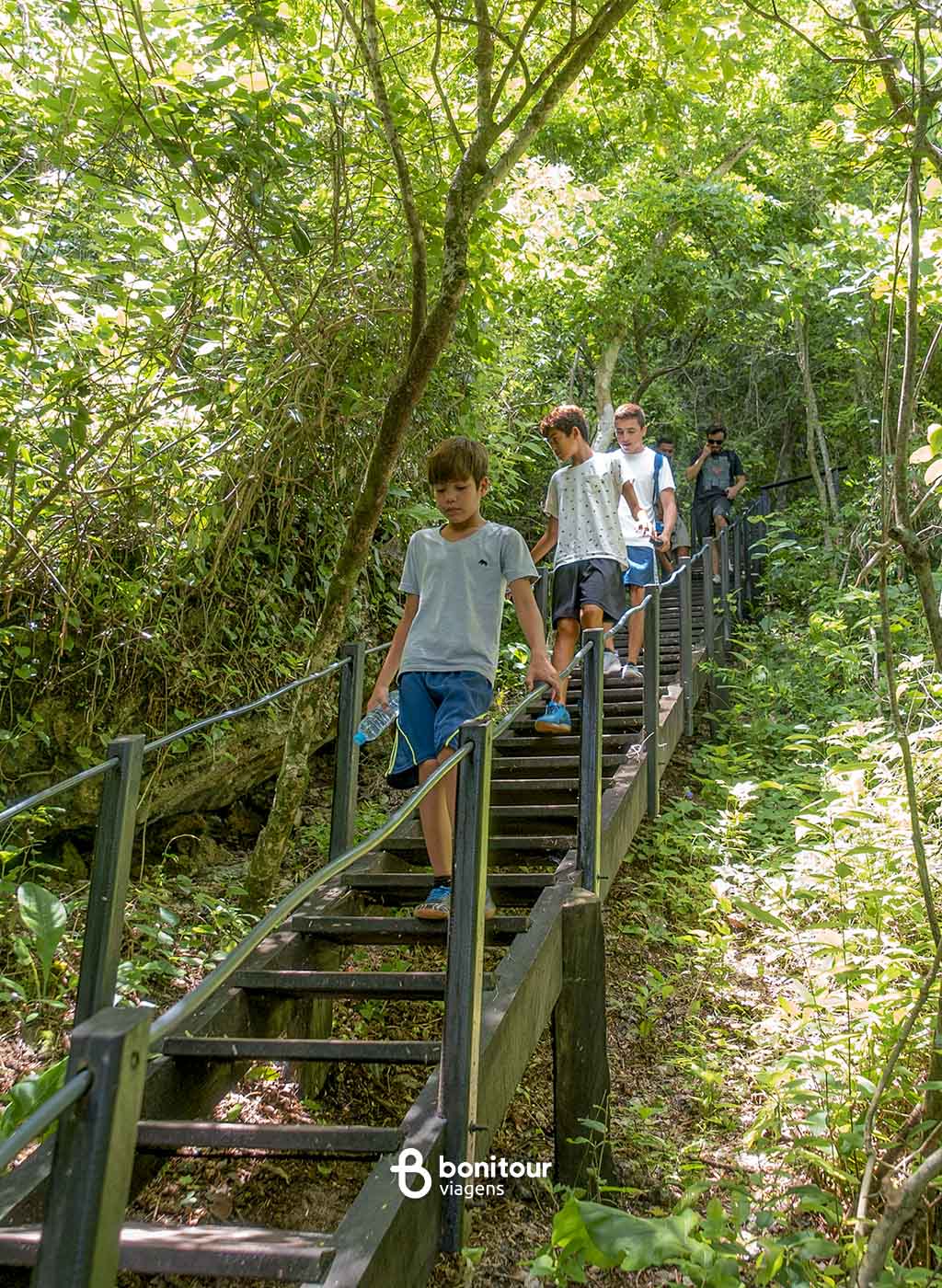 Crianças descendo escada de madeira em meio a vegetação na trilha da Boca da Onça Adventure