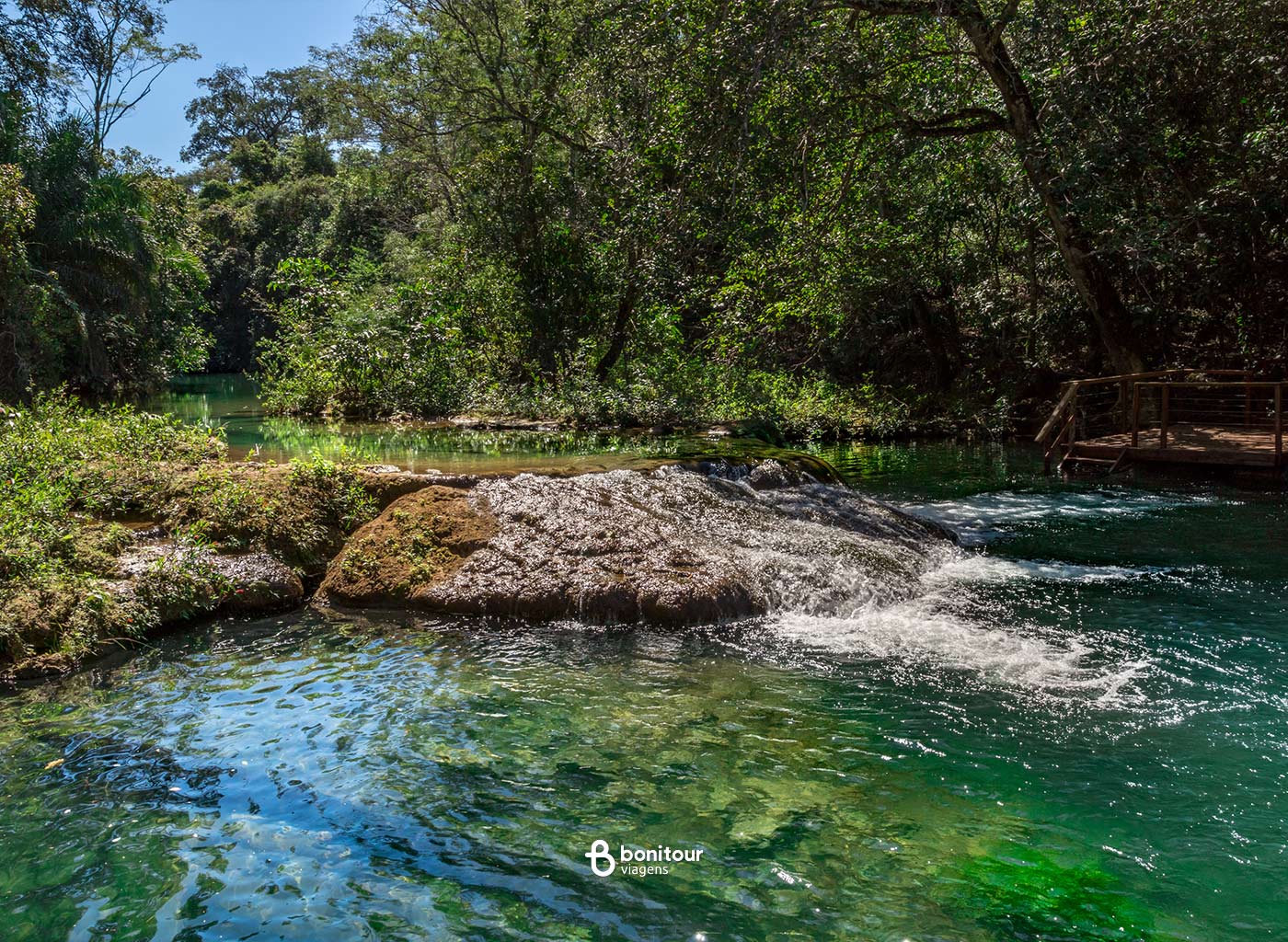Rio com águas cristalinas em meio à natureza de Bonito/Ms.