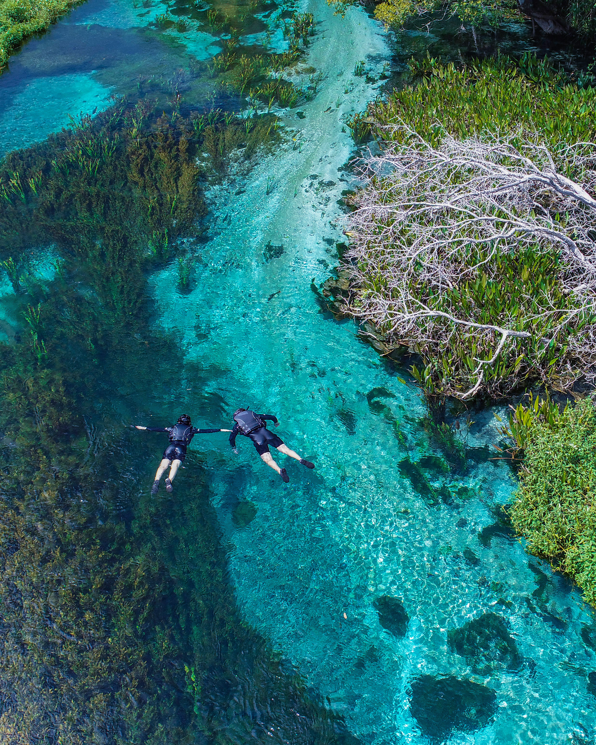 flutuação rio sucuri em bonito ms