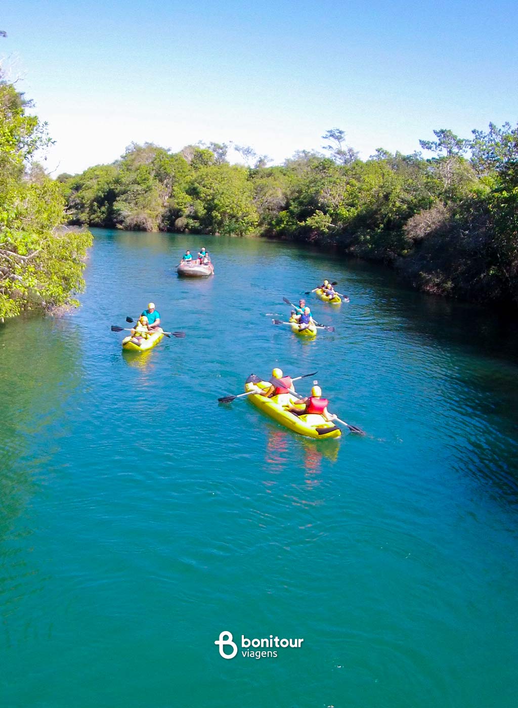 Pessoas em botes a remo em meio a vegetação