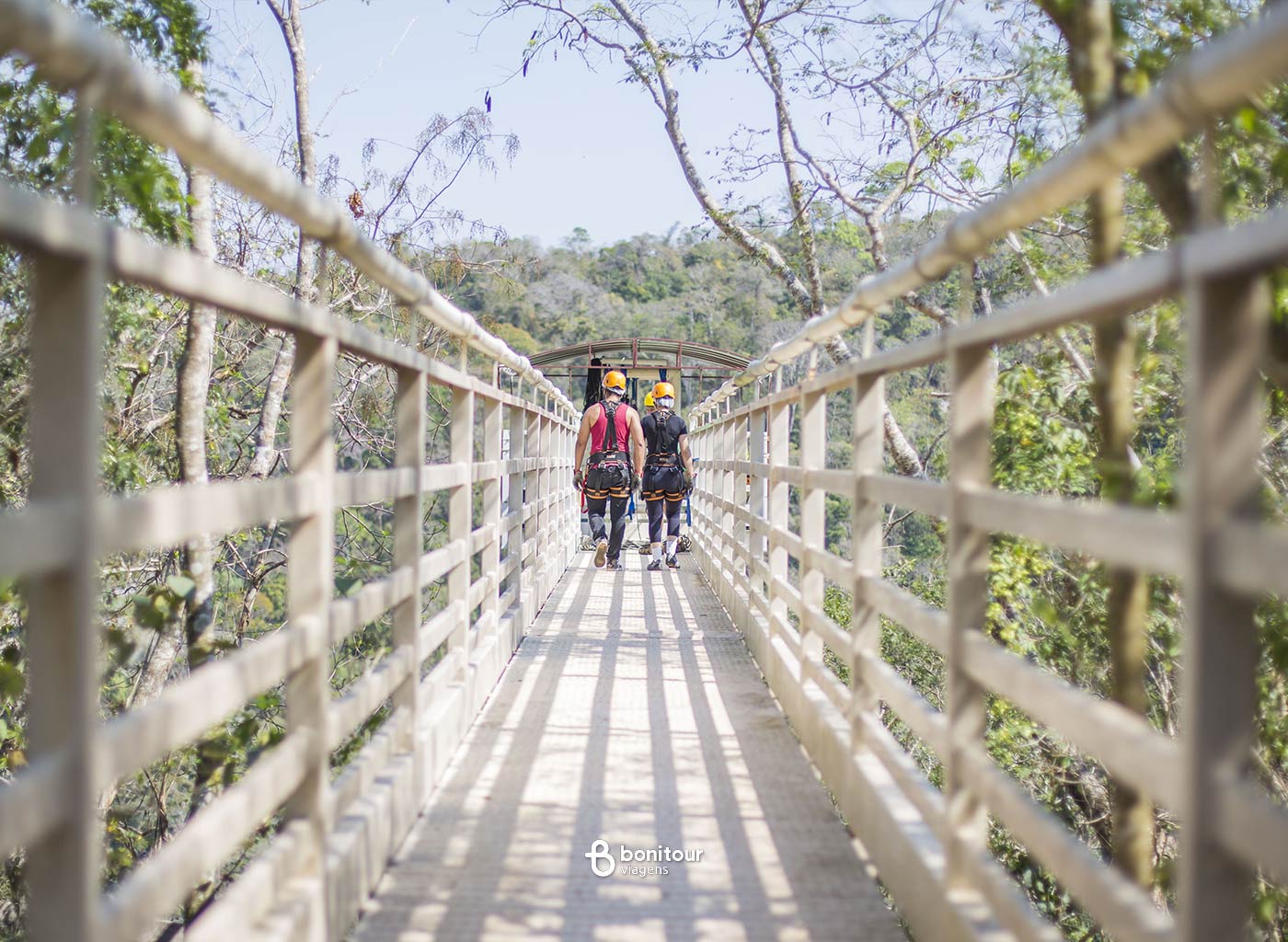 Pessoas em ponte de madeira em meio a natureza