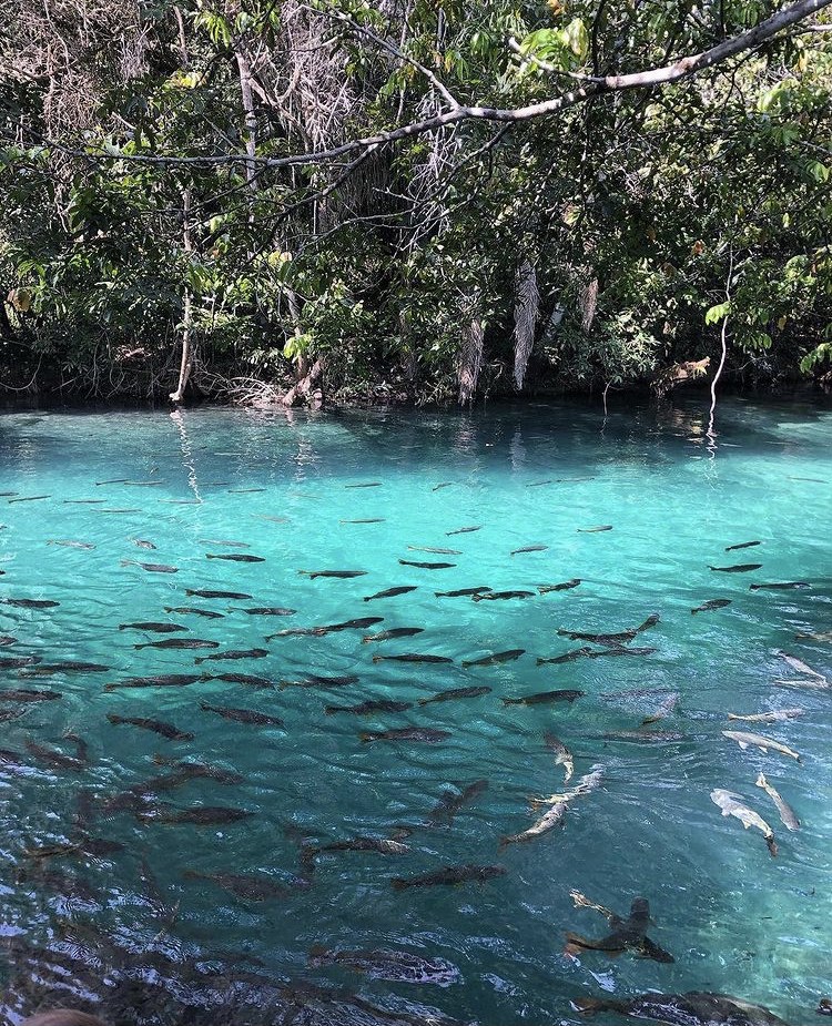 Flutuação Praia da Figueira Bonito MS