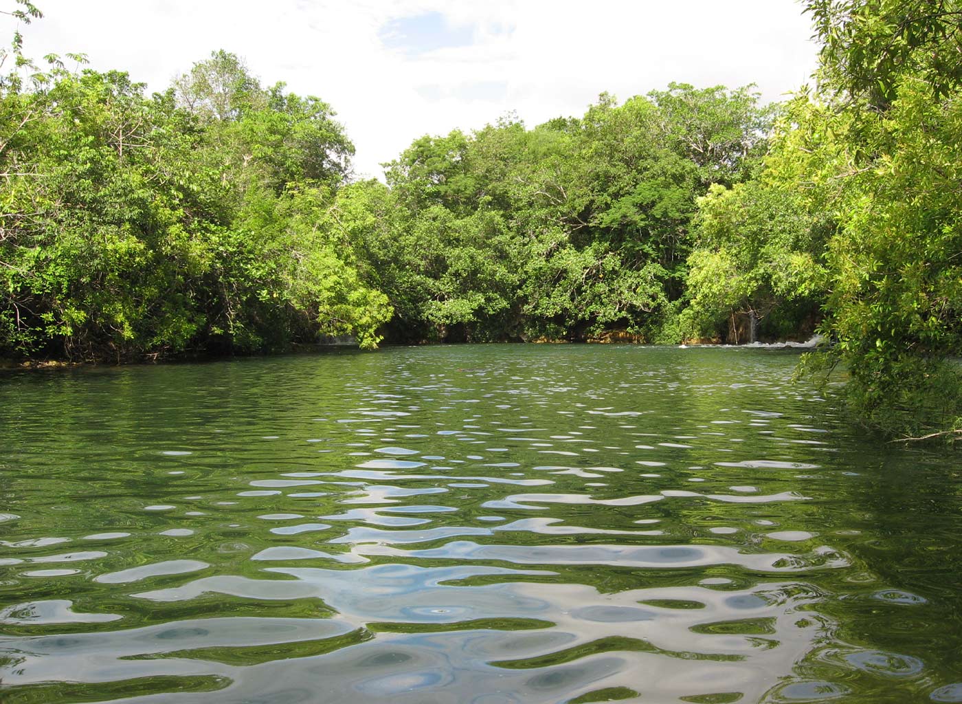 Vista da natureza do Rio Formoso