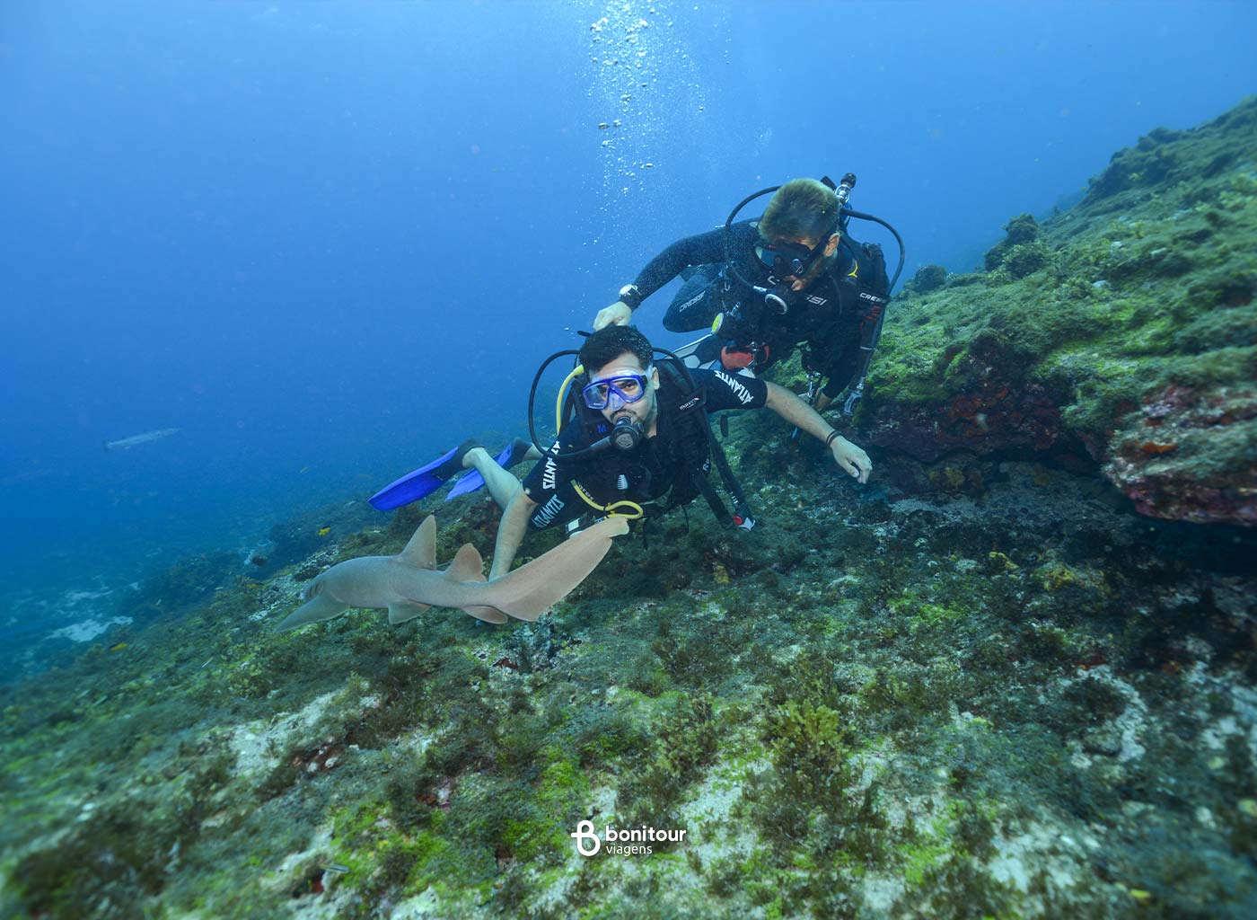 Pessoas observando vida marítima em mergulho com cilindro
