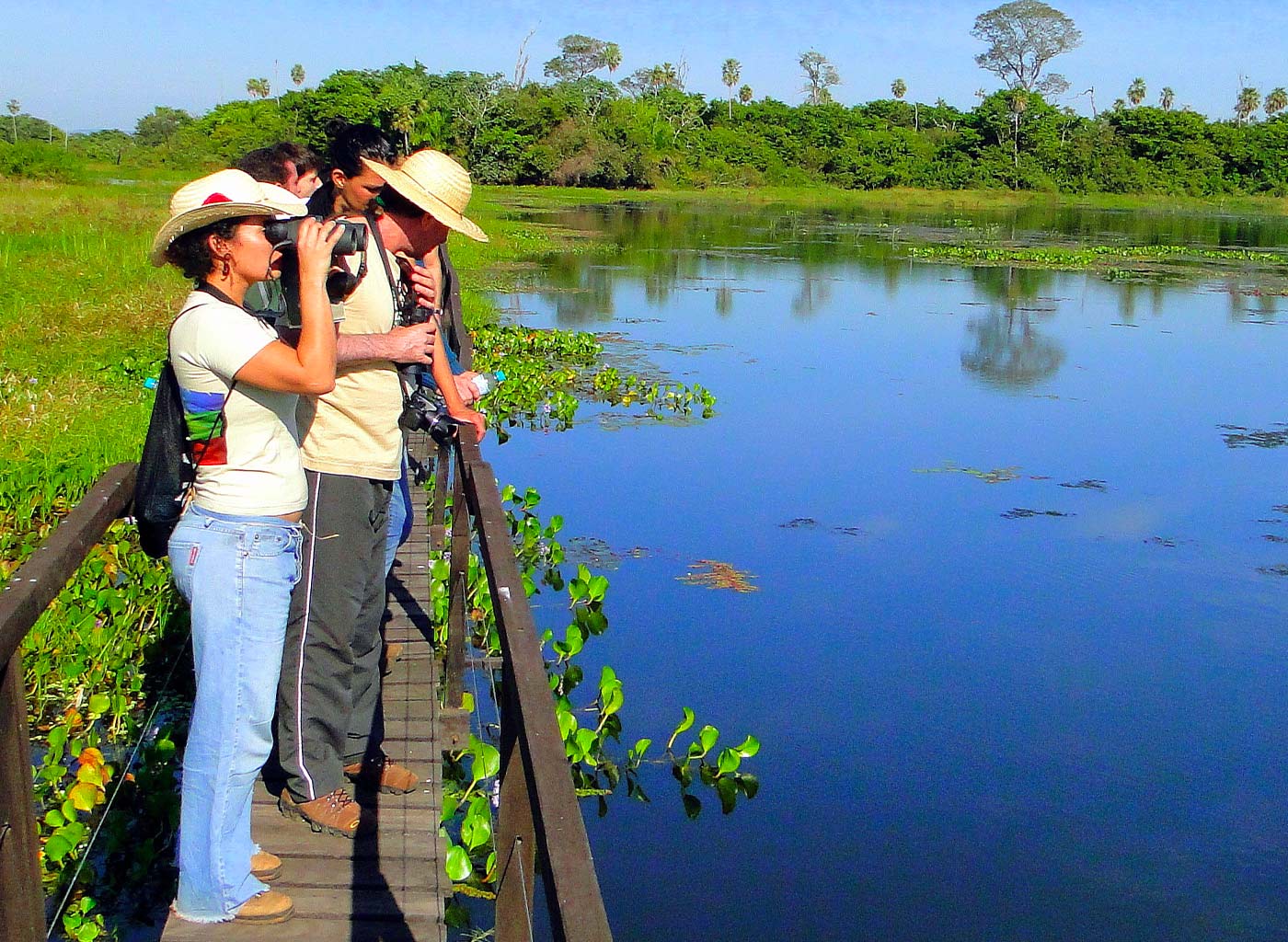 Pessoas em deck de madeira observando a natureza do Pantanal