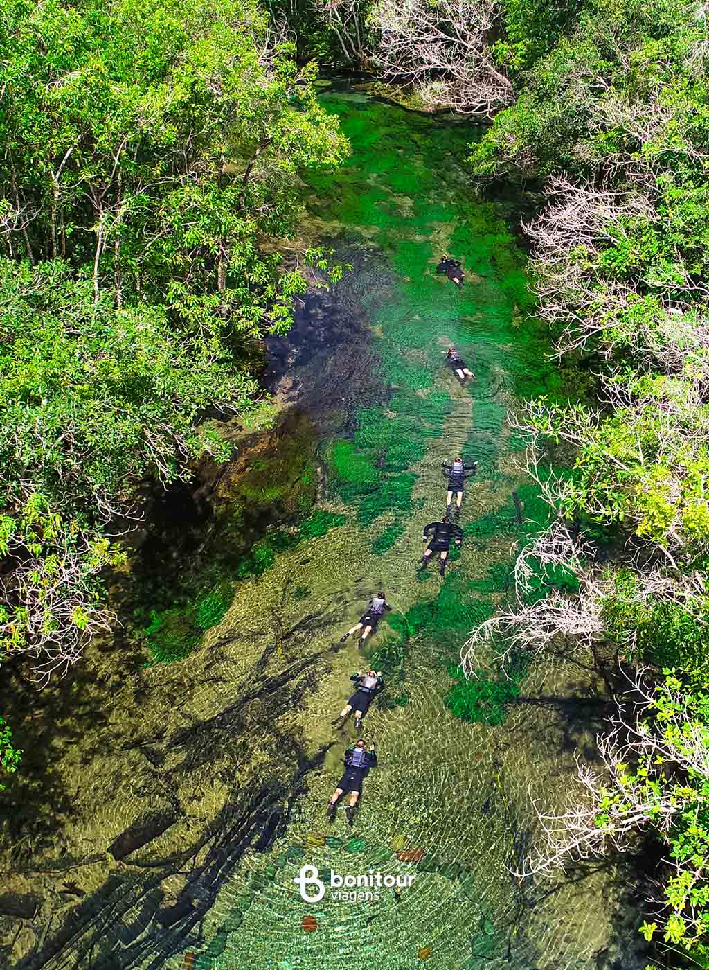 Vista aérea de várias pessoas fazendo flutuação em fila no Rio da Prata, com vegetação nativa em suas margens.