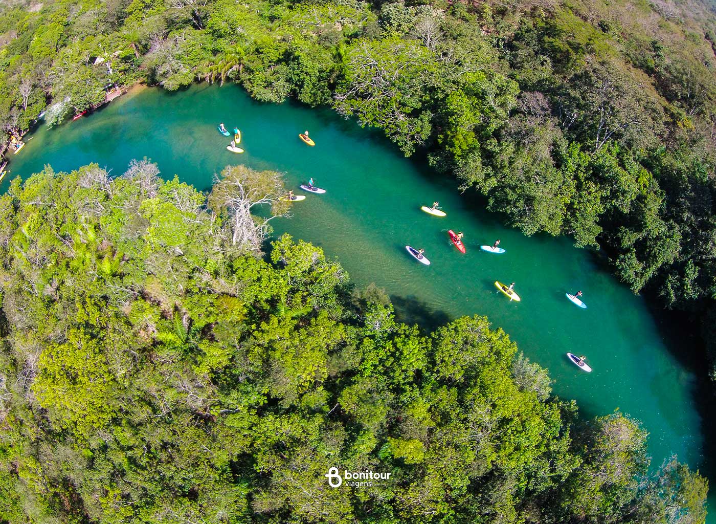 Pessoas navegando de botes em meio a vegetação do Rio Formoso