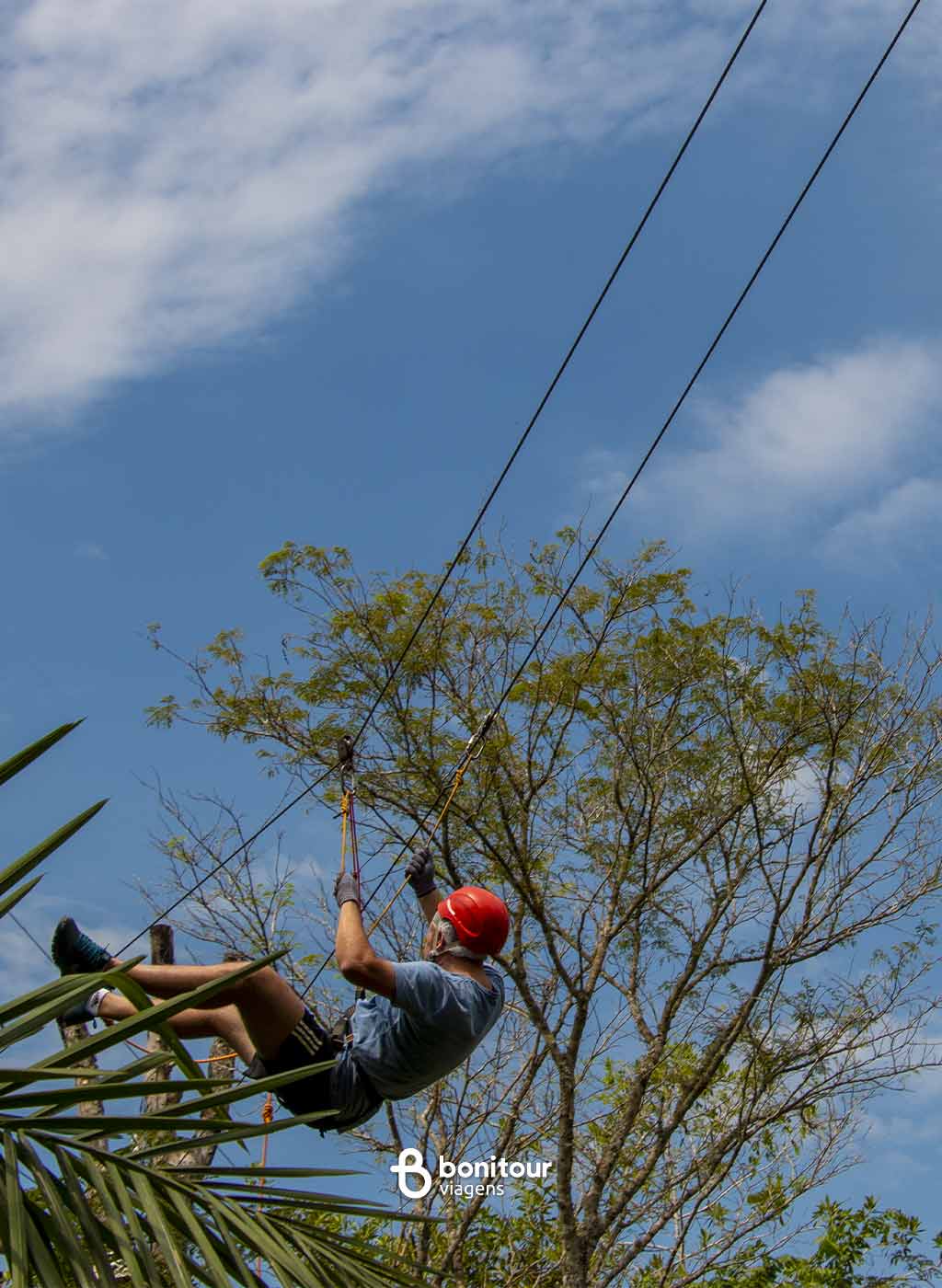 Pessoas com equipamento de segurança, no alto das árvores praticando arvorismo.