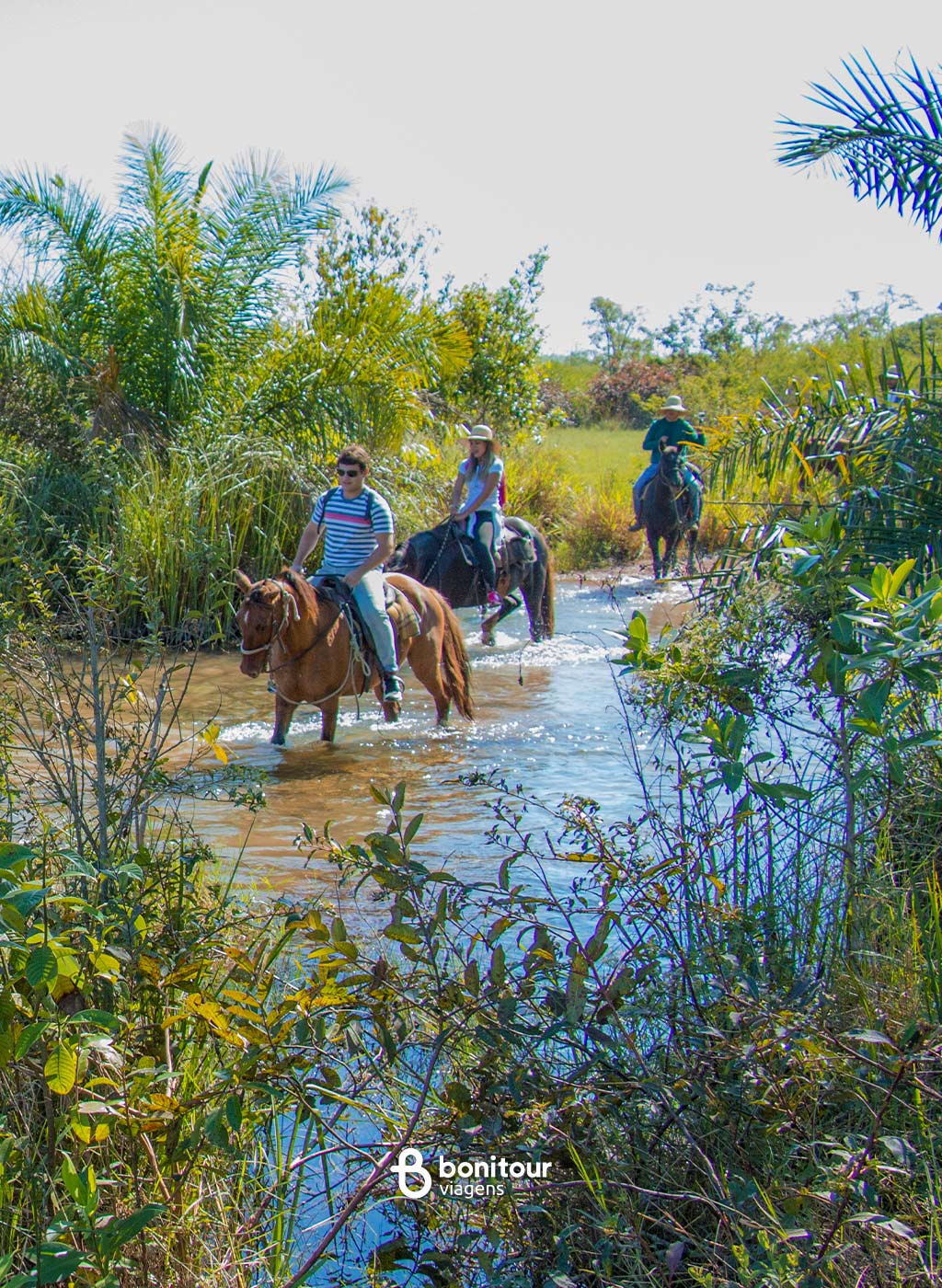 Visitantes realizando o passeio Cavalgada no Parque Ecológico do Rio Formoso