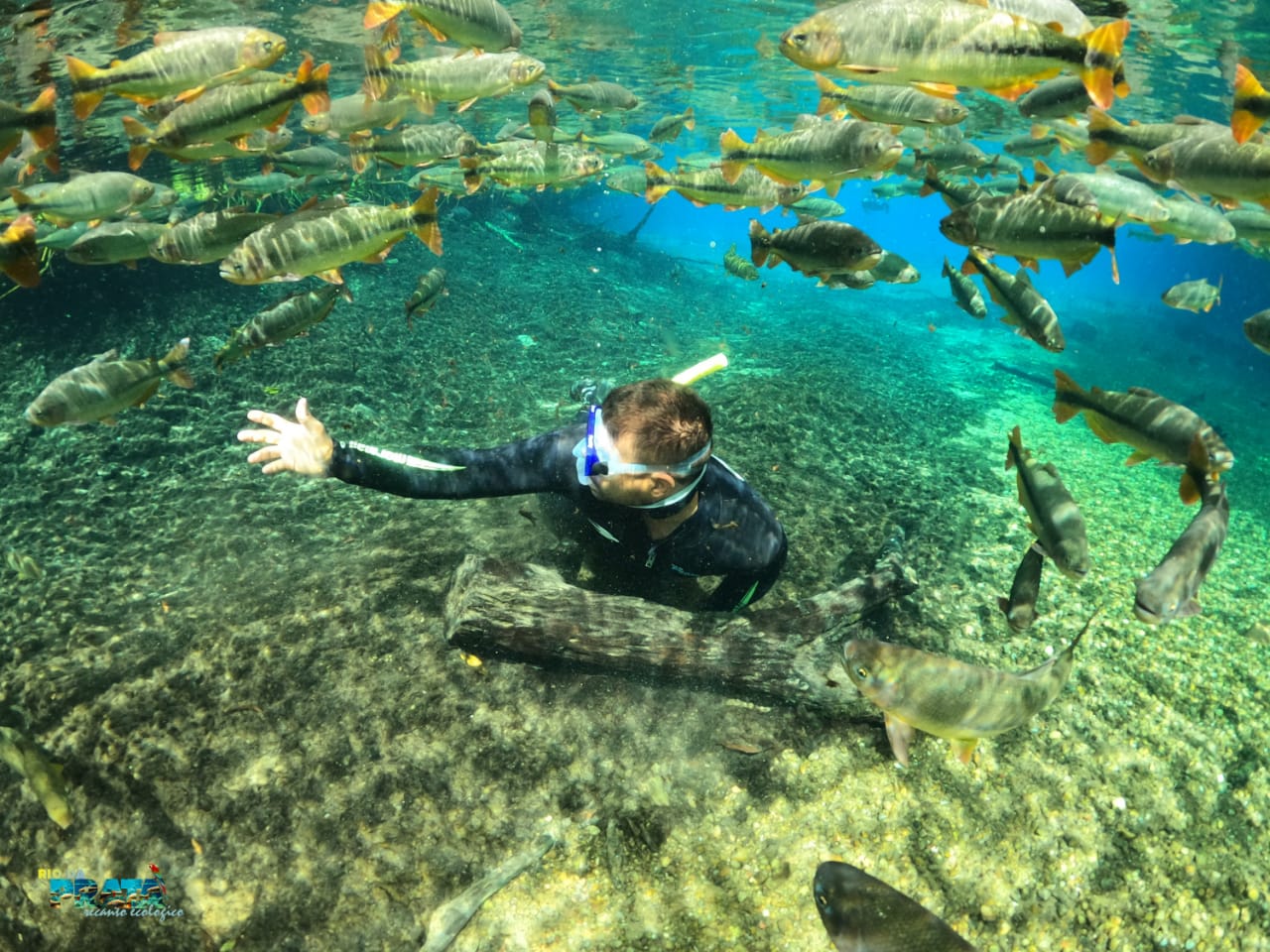 Flutuação pelas águas cristalinas do Rio da Prata, Bonito MS