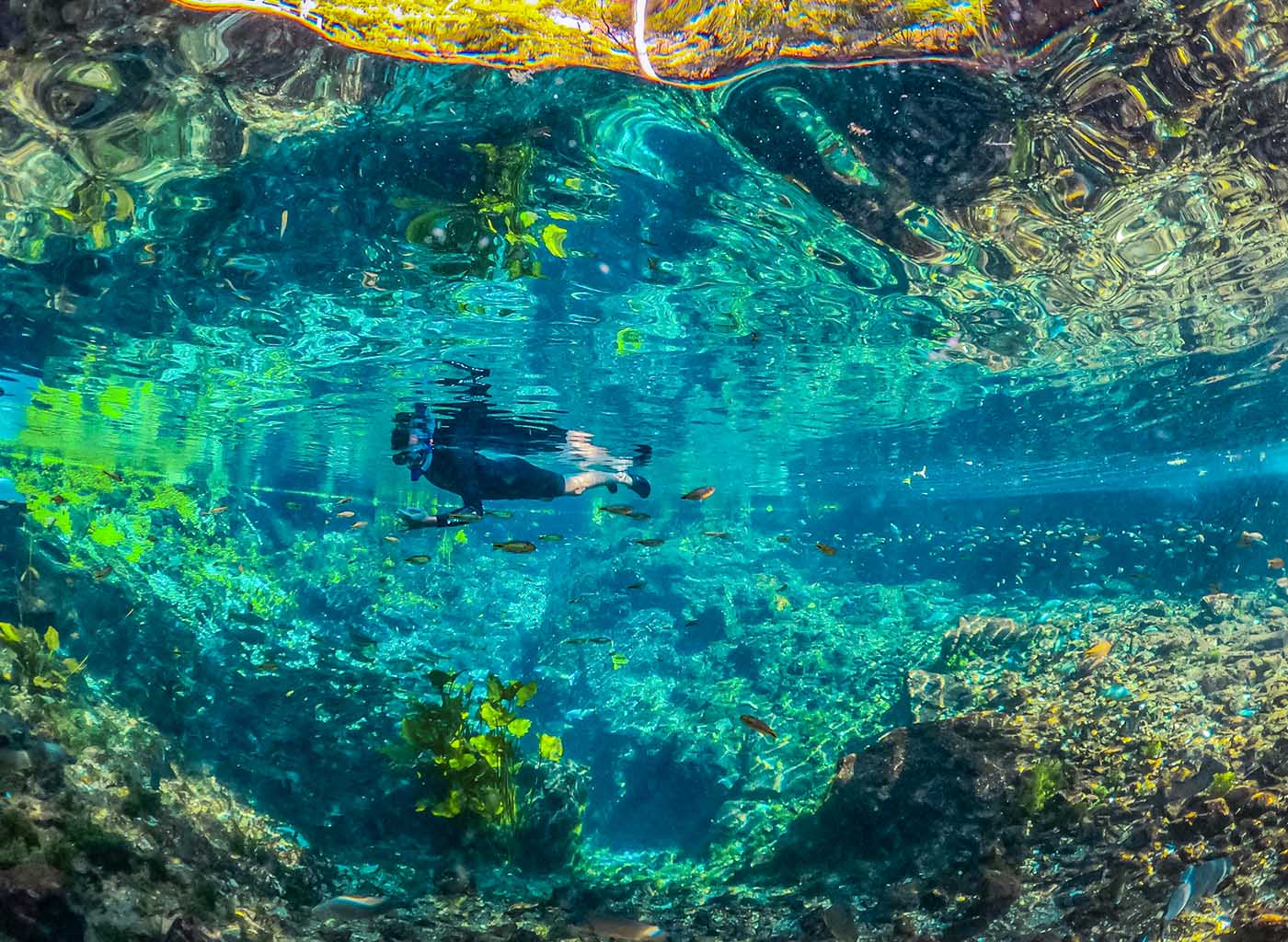 imagem espelhada pela própria água de pessoa realizando flutuação nas águas cristalinas da Nascente Azul com peixes em volta e vegetação local.