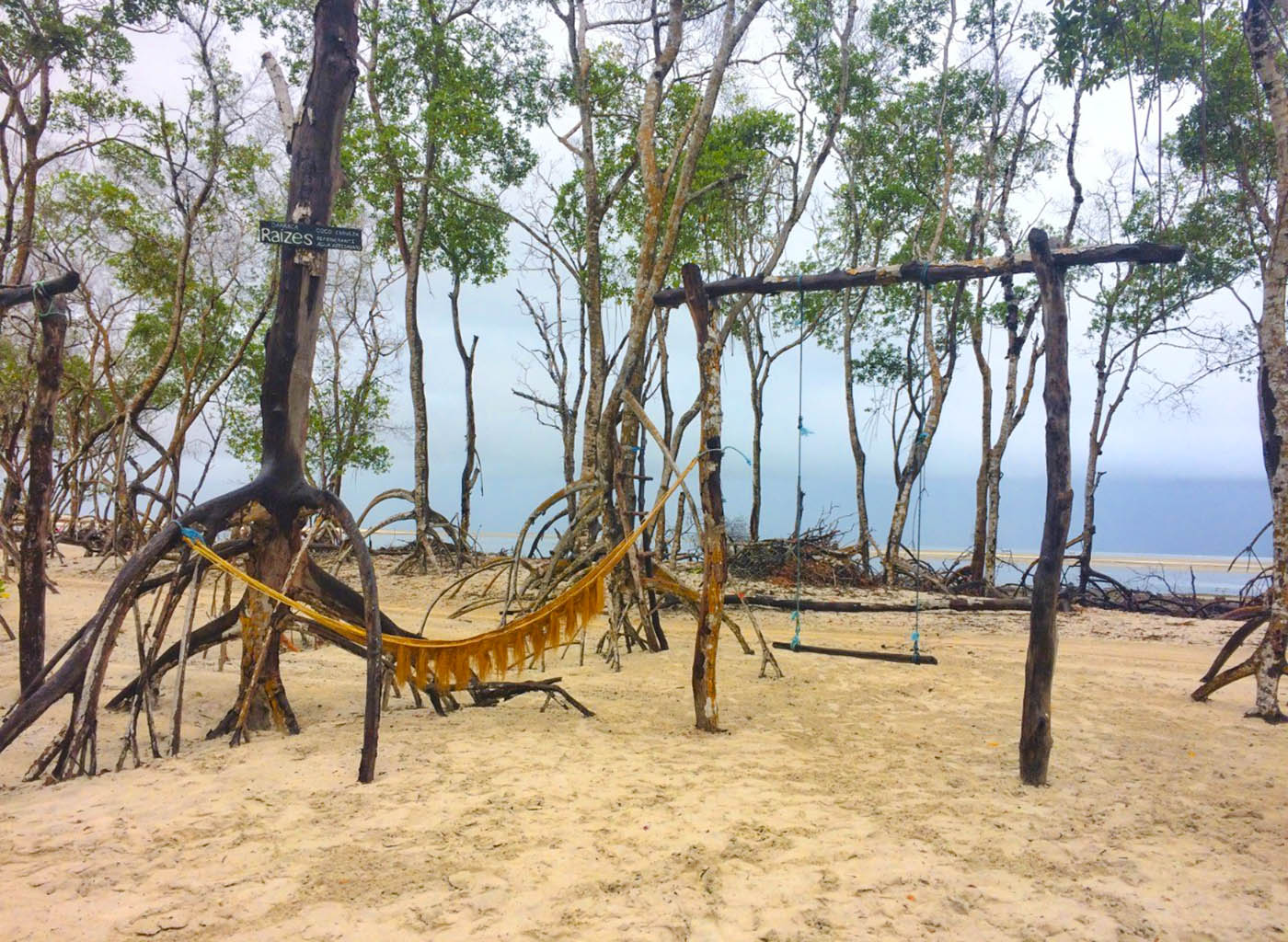 mangue seco jericoacoara litoral oeste