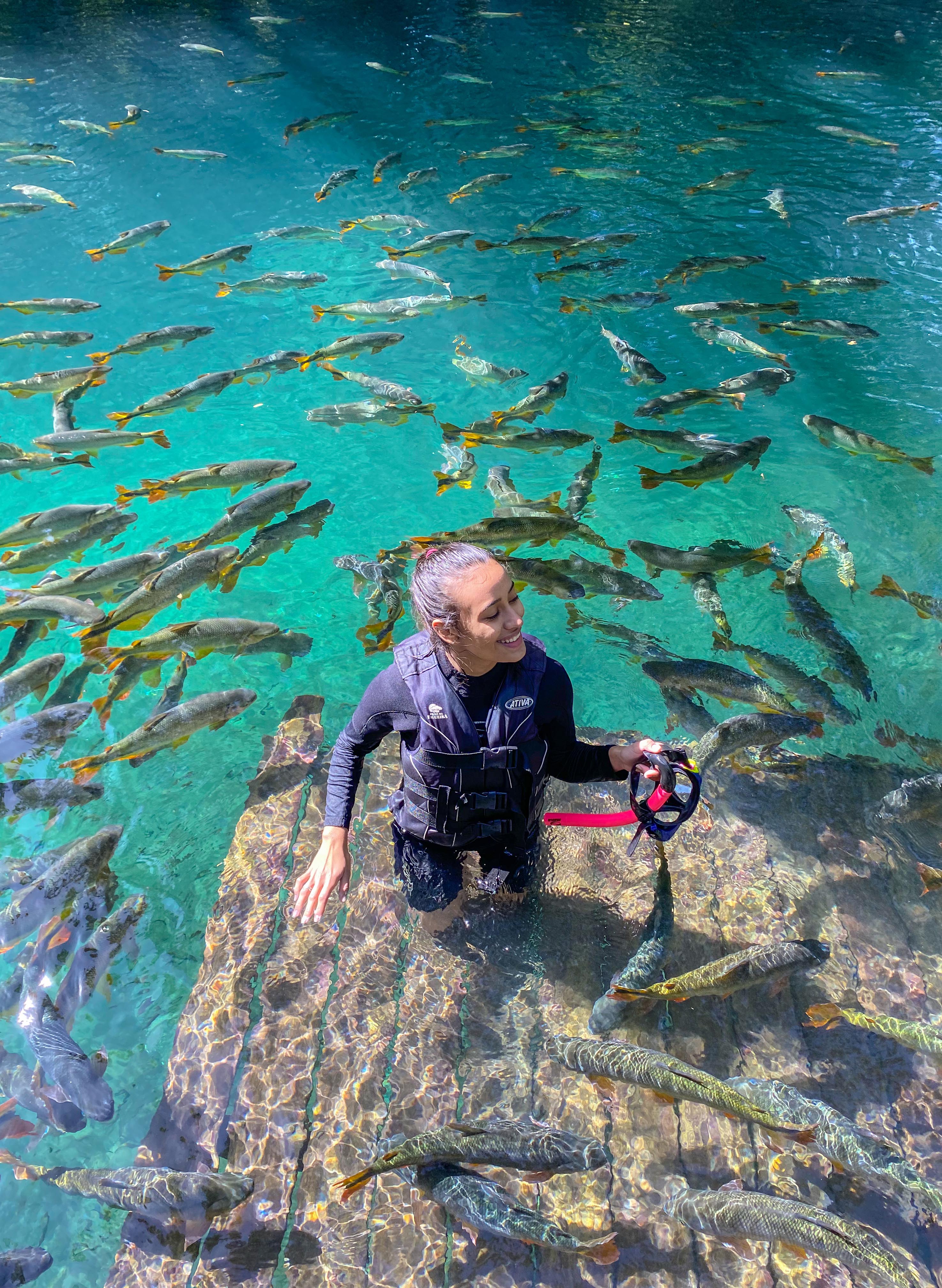 visitante cercada por peixes na Praia da Figueira