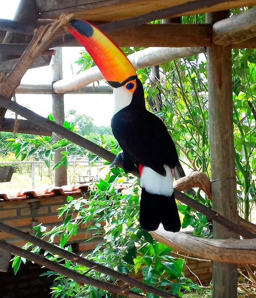 Bio Park, Urbanos em Bonito MS