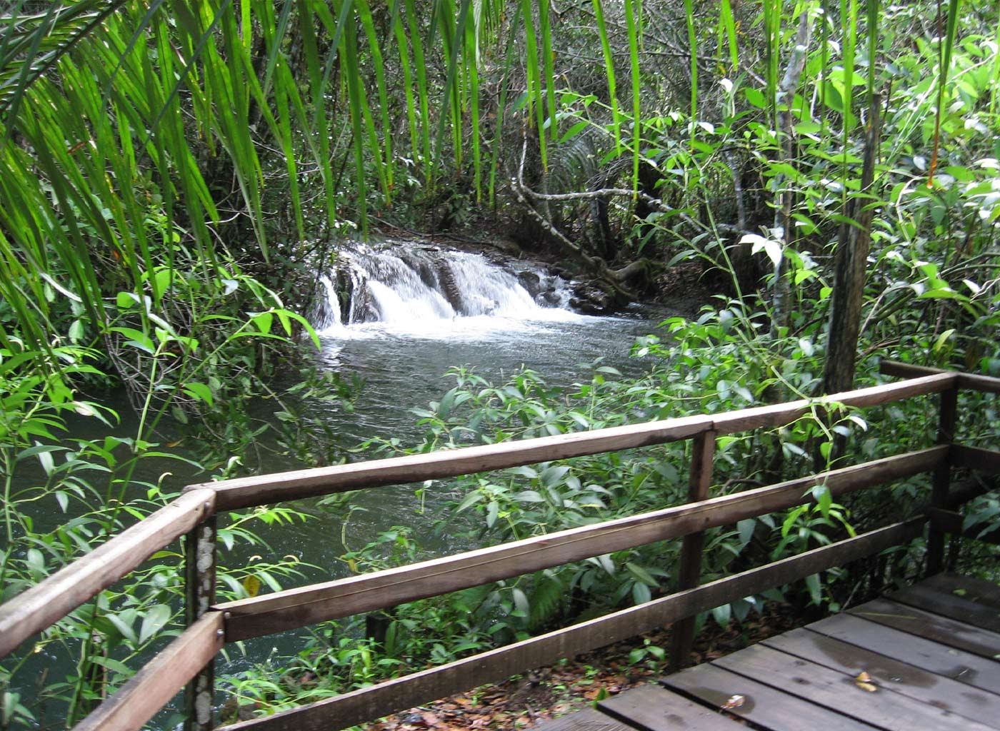 Deck de madeira a beira de água e cachoeira