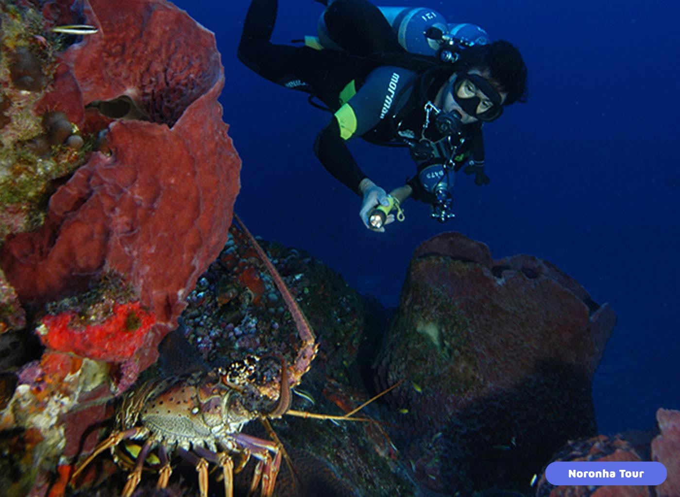 Pessoa com equipamento de mergulho, observando a vida em baixo do mar