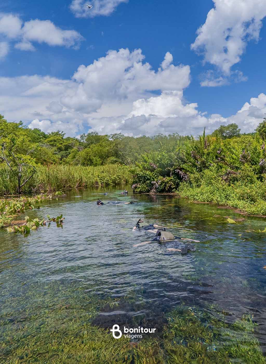 Aquário Natural de Bonito visto de longe com pessoas praticando flutuação em meio à vegetação local.