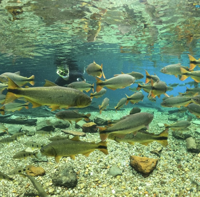 Rio da Prata Flutuação