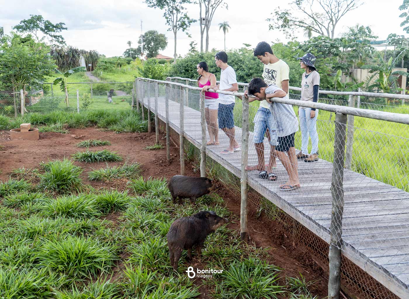 Pessoas curtindo com os animais no Bio Park