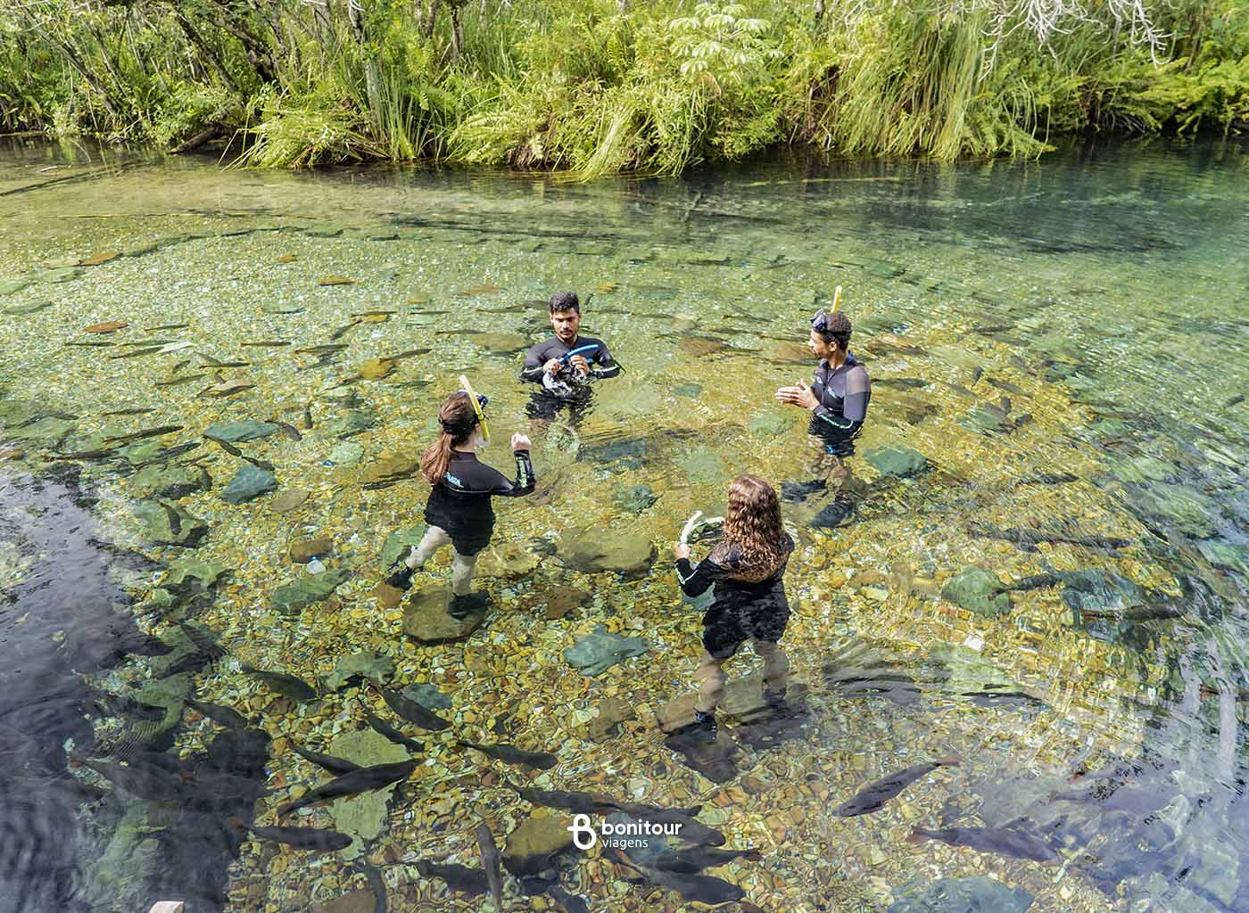 Pessoas em pé e dentro da água, com metade dos corpos para fora, com vegetação e muitos peixes em volta, no Rio da Prata.