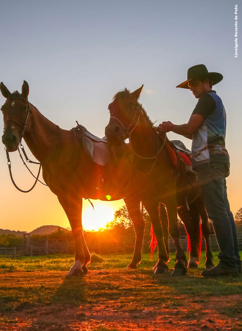 Pessoa preparando cavalos para cavalgada no entardecer