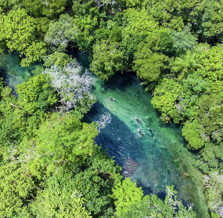 Flutuação Praia da Figueira Bonito MS