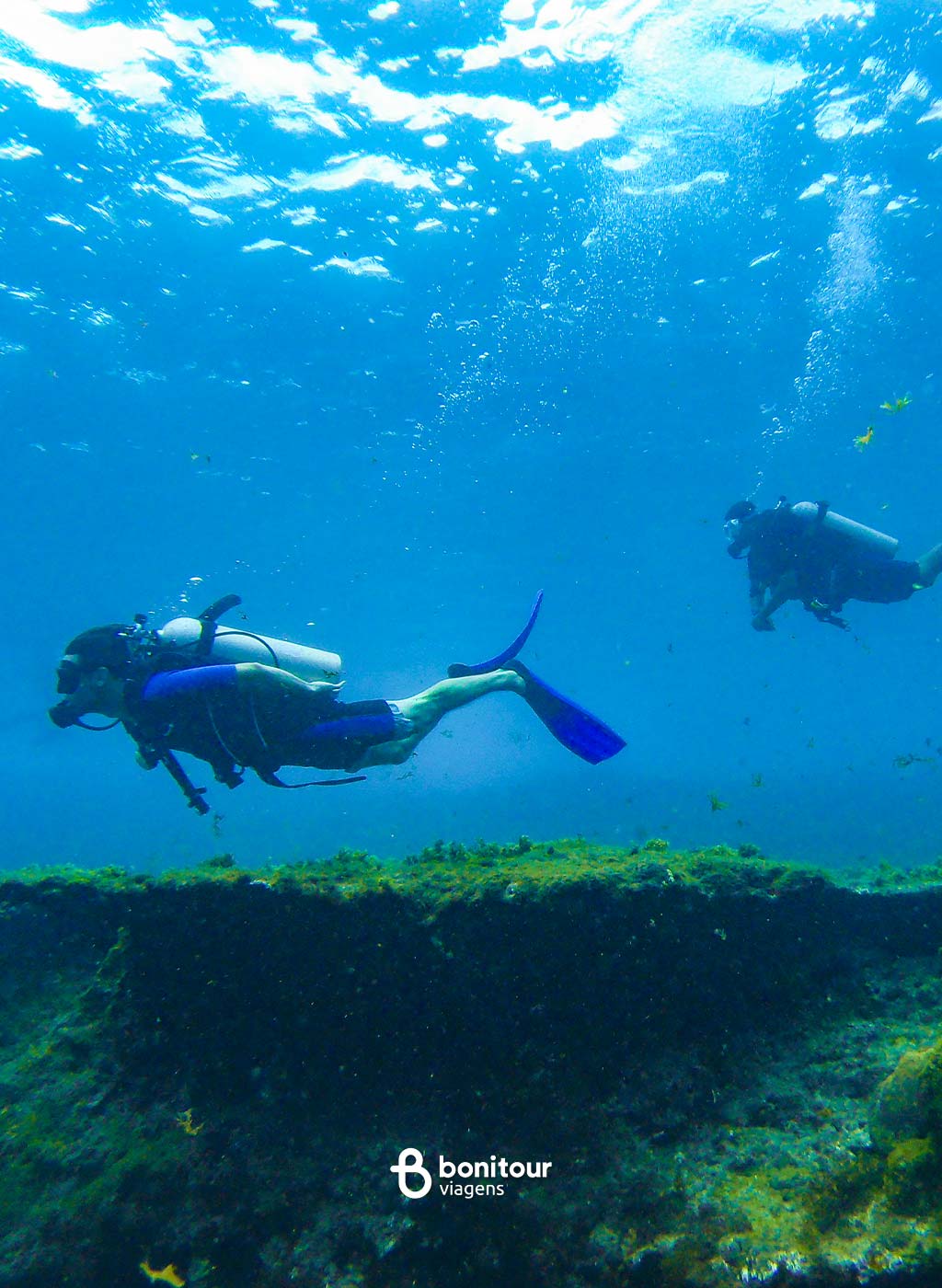 Pessoas curtindo mergulho com cilindro em Fernando de Noronha