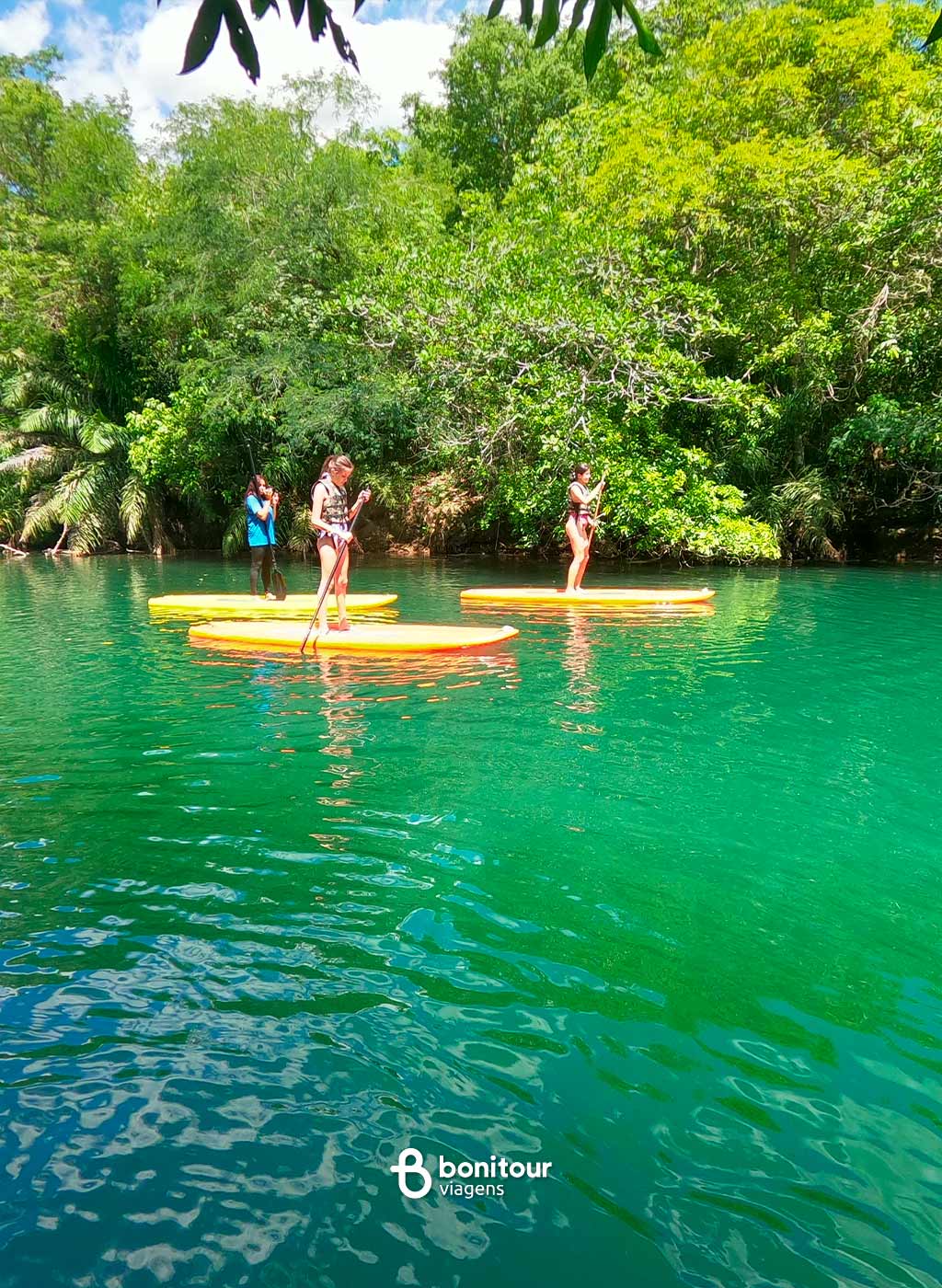Pessoas praticando stand up em rio em dia ensolarado