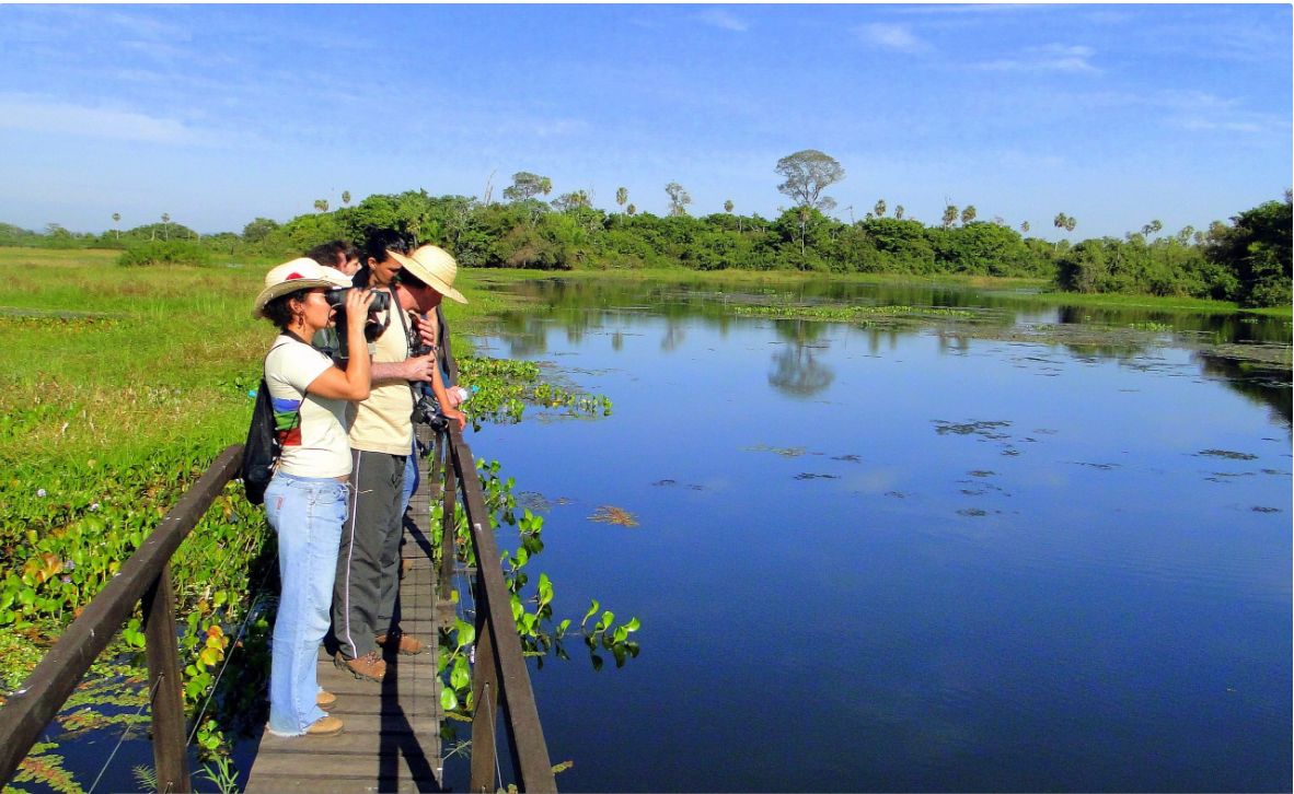 Fazenda San Francisco