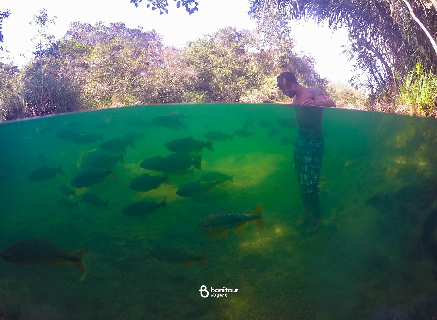 Homem dentro do Rio Formoso com cardumes de peixes ao redor